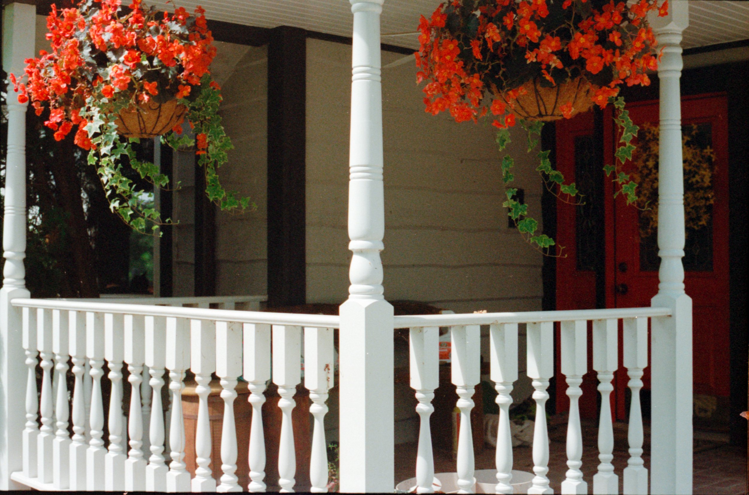 Reece 2022 August 68.jpg