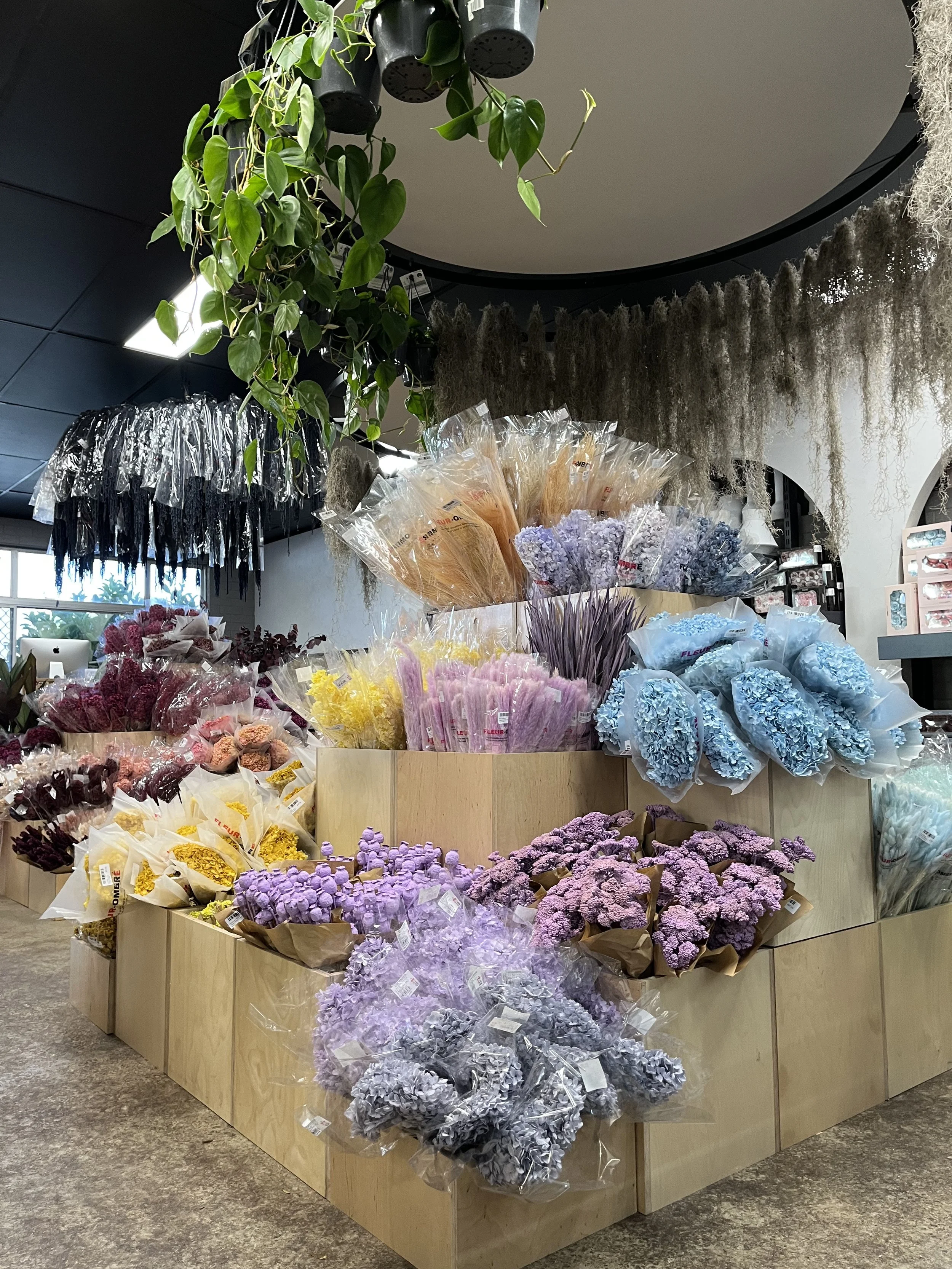 Dried Flower Suppliers Perth Best Flower Site
