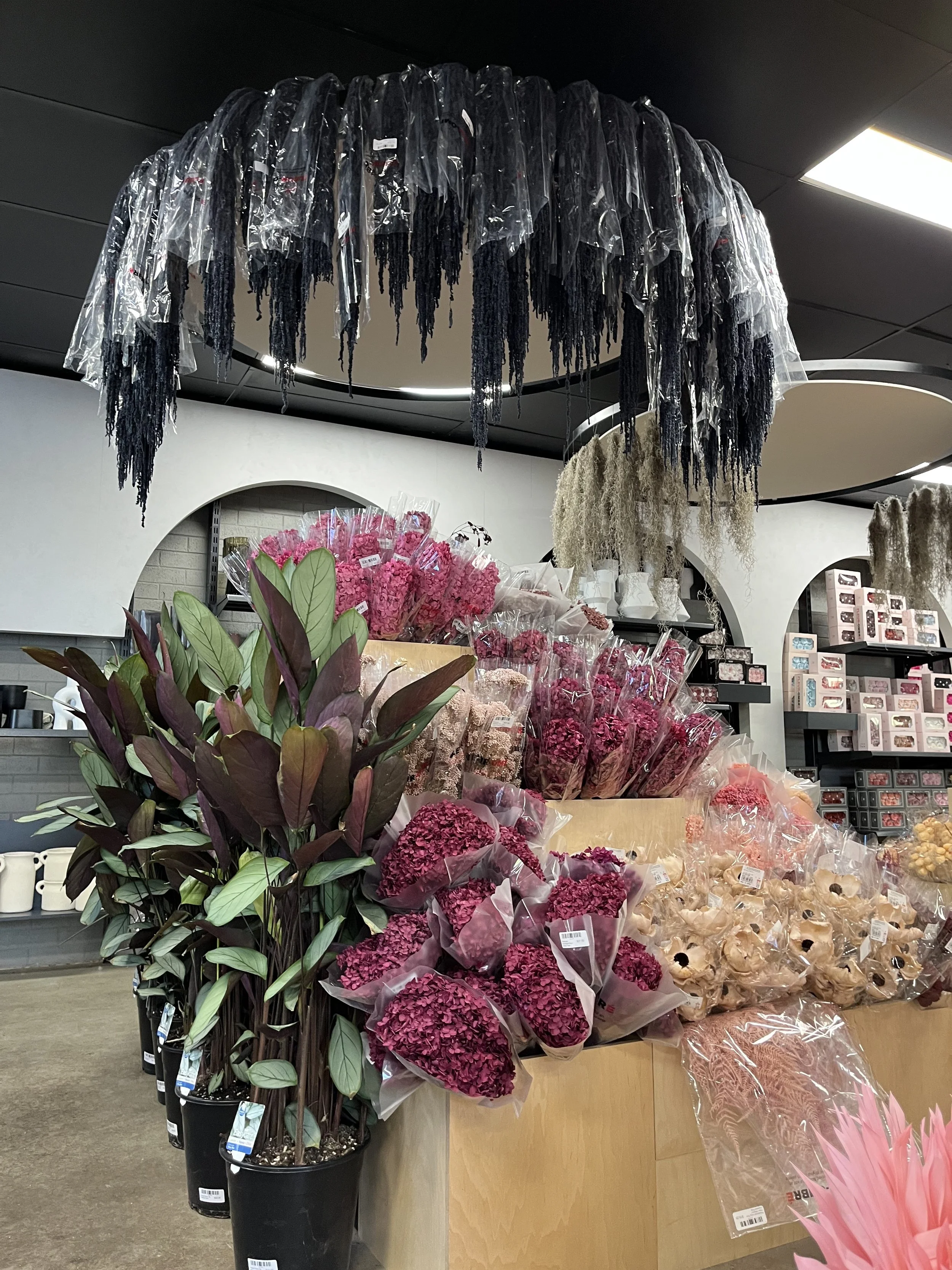 Dried Flower Suppliers Perth Best Flower Site