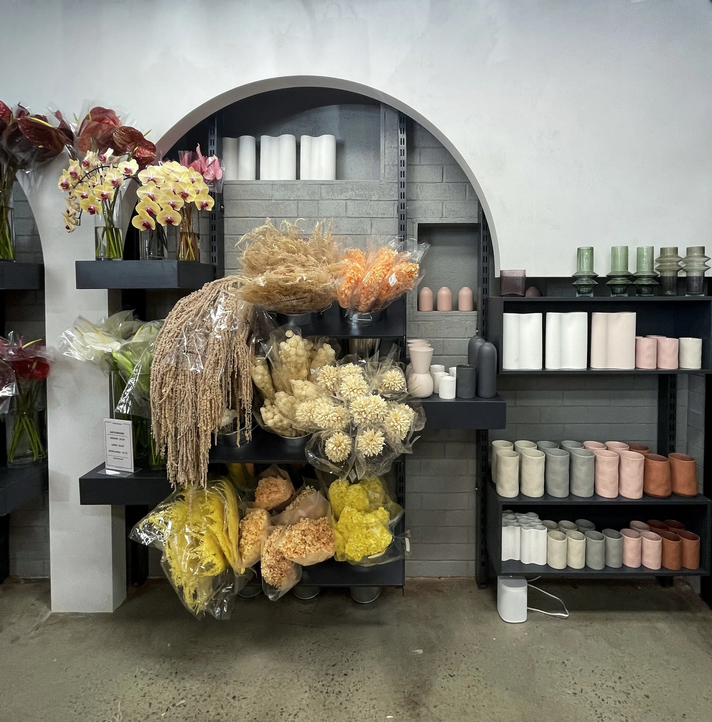 Dried Flower Suppliers Perth Best Flower Site