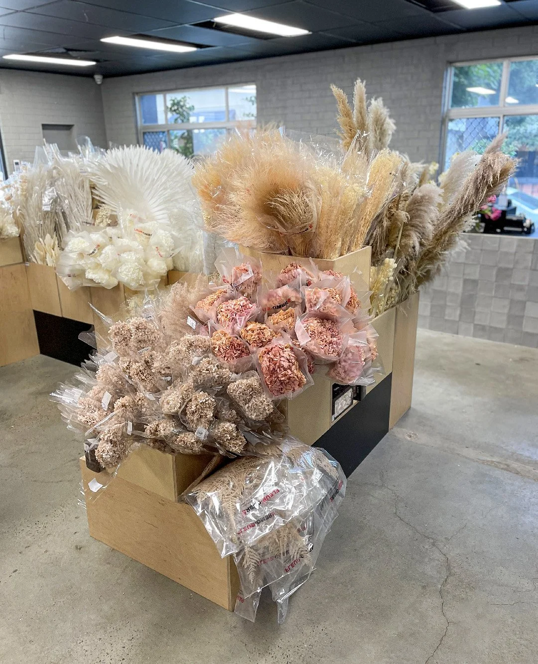Dried Flower Suppliers Perth Best Flower Site