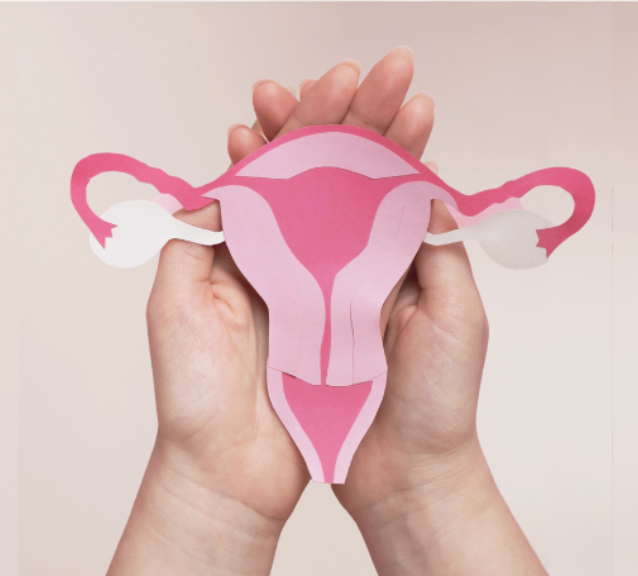 IVF and Fertility Therapy