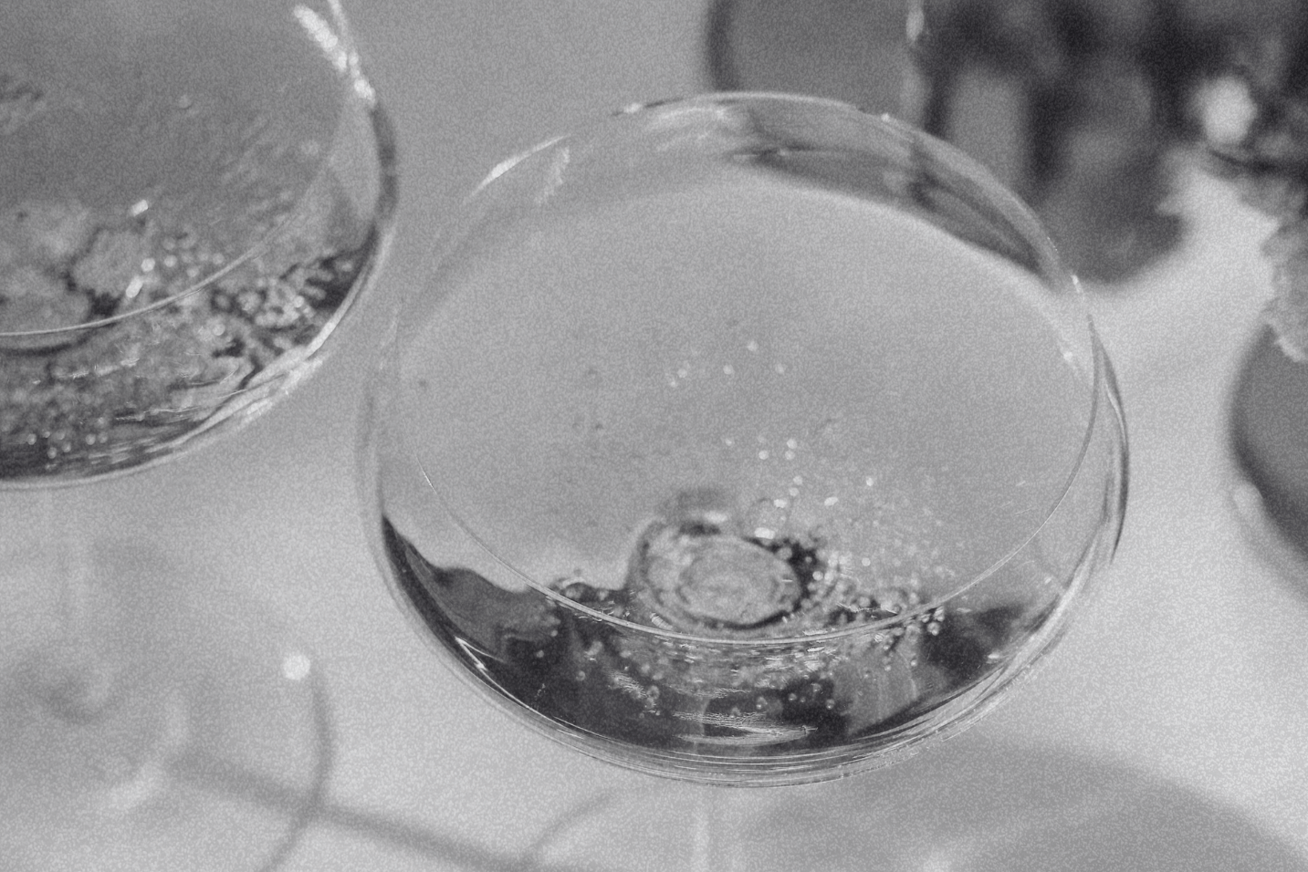 Two wine glasses on table, elegant design, Pin Not Paper