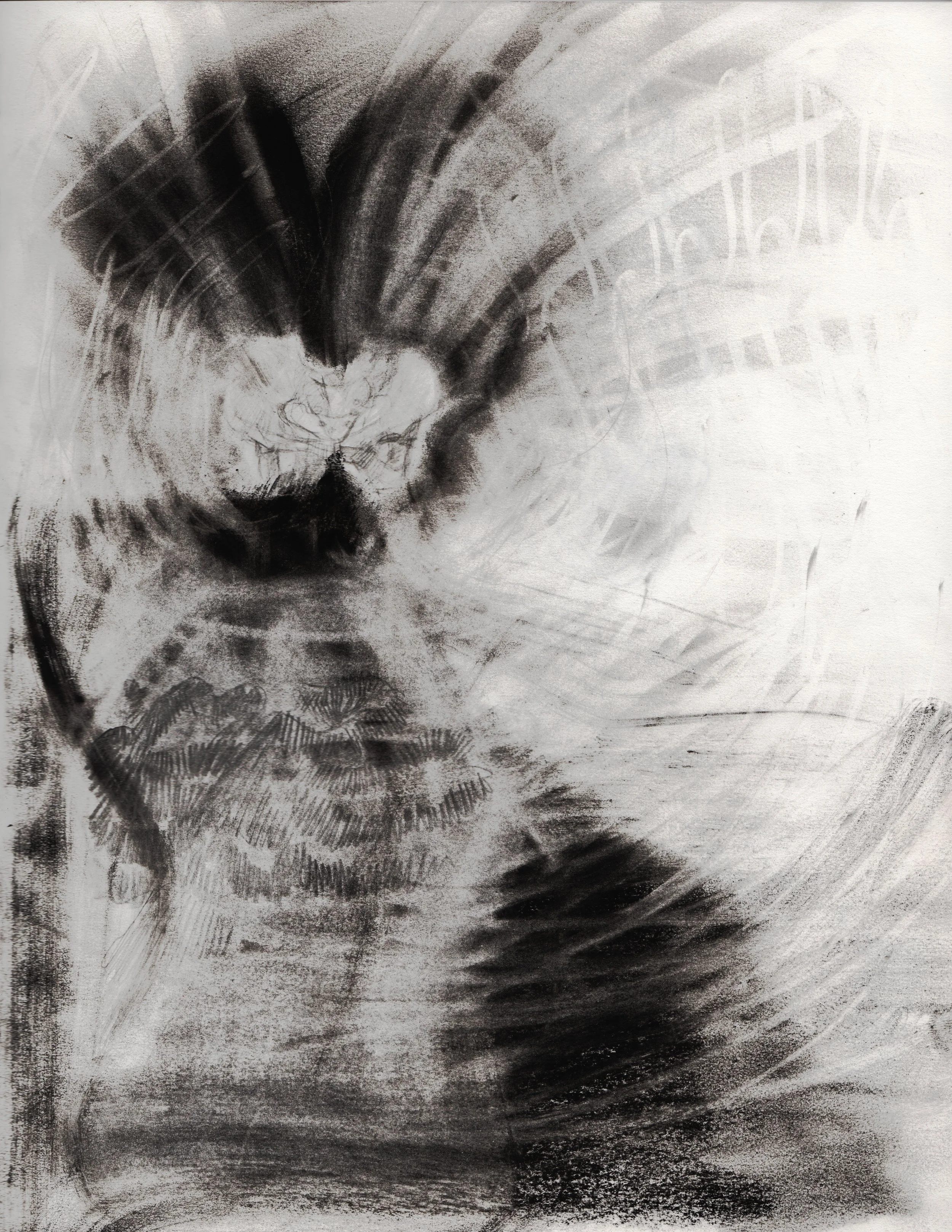 charcoalPelvis01.jpg