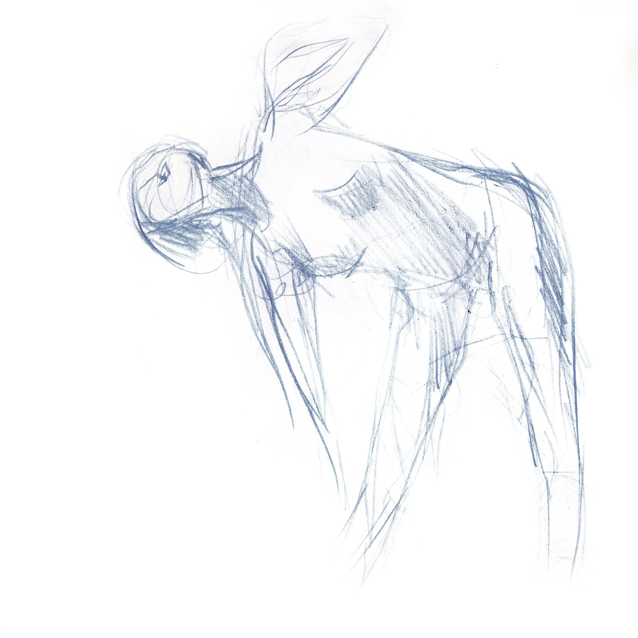 2014, Colored Pencil, Sketch paper, 11"x17". This is a 1 minute gesture drawing, trying to capture the feeling, motion.