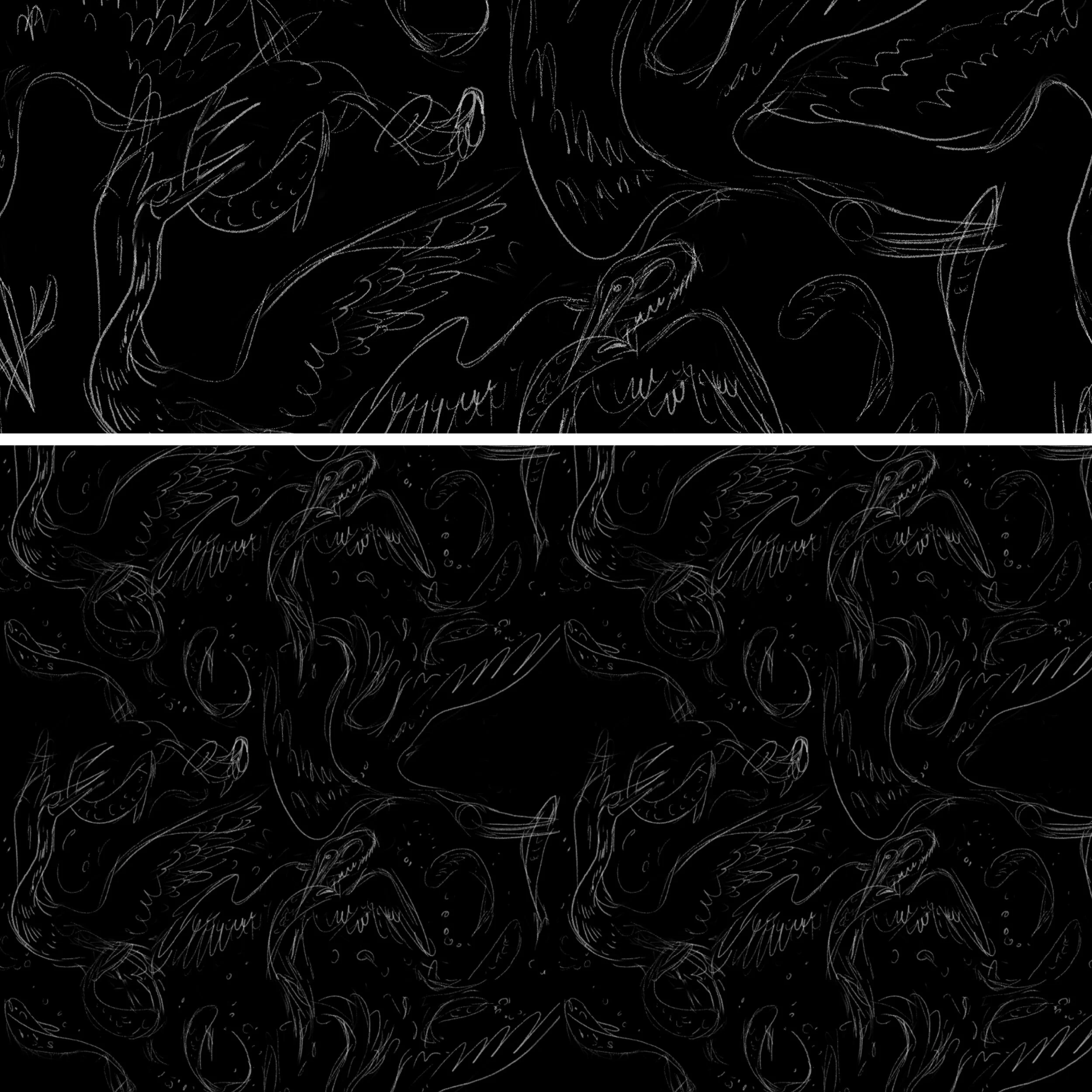 birdGridBW_012.jpg