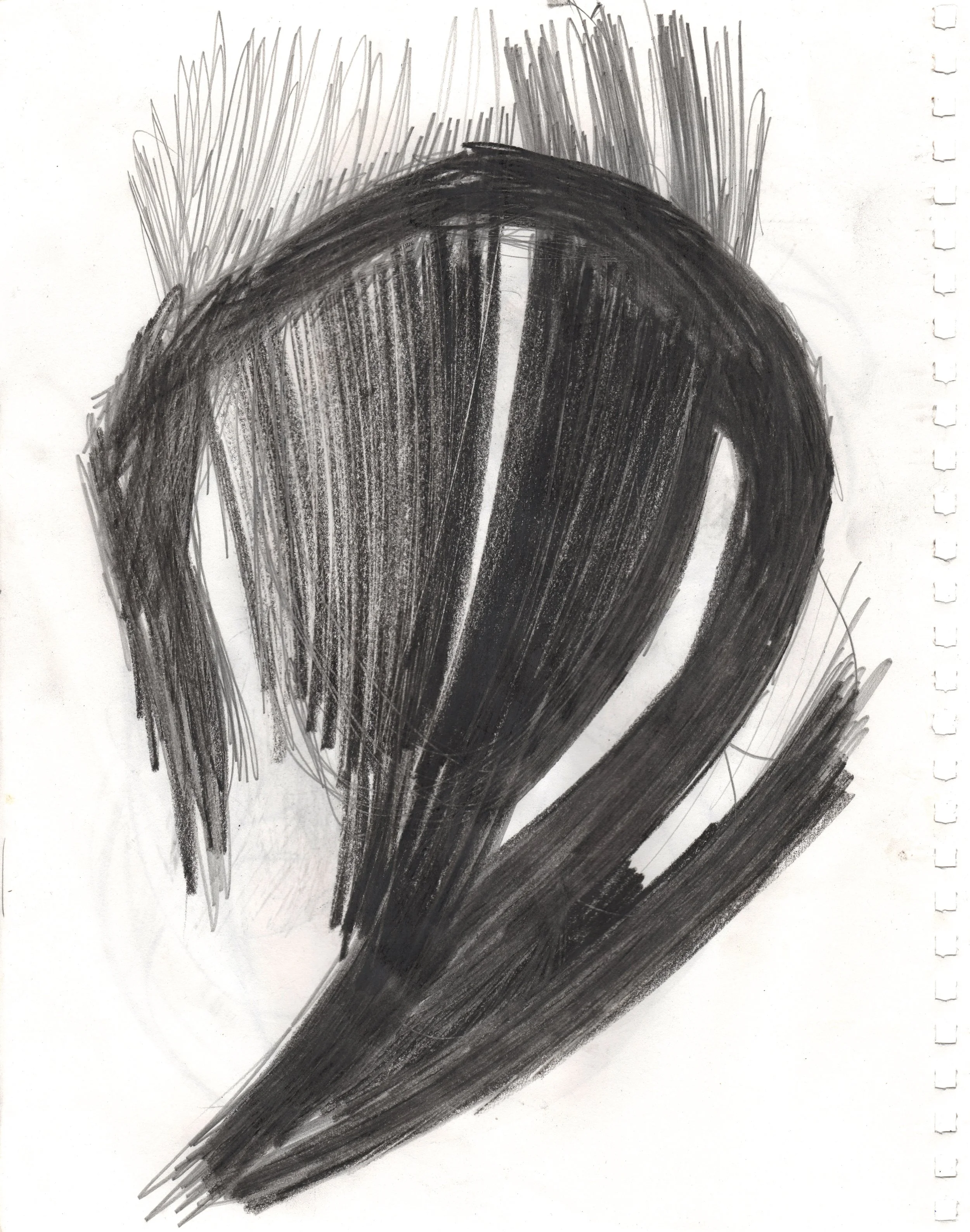 This is part of a series of drawings about the Ganges river, starting with a figure descending to Earth into matted locks of hair. The figurative form dissolves into an abstract gesture echoing the figure. 