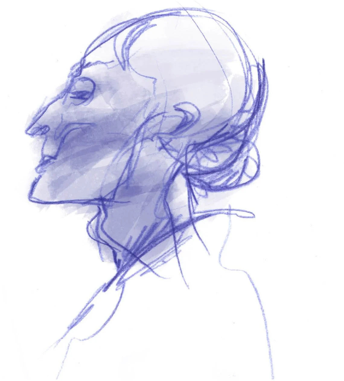 sketchy03.jpg