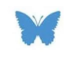 healthcare butterfly .jpg