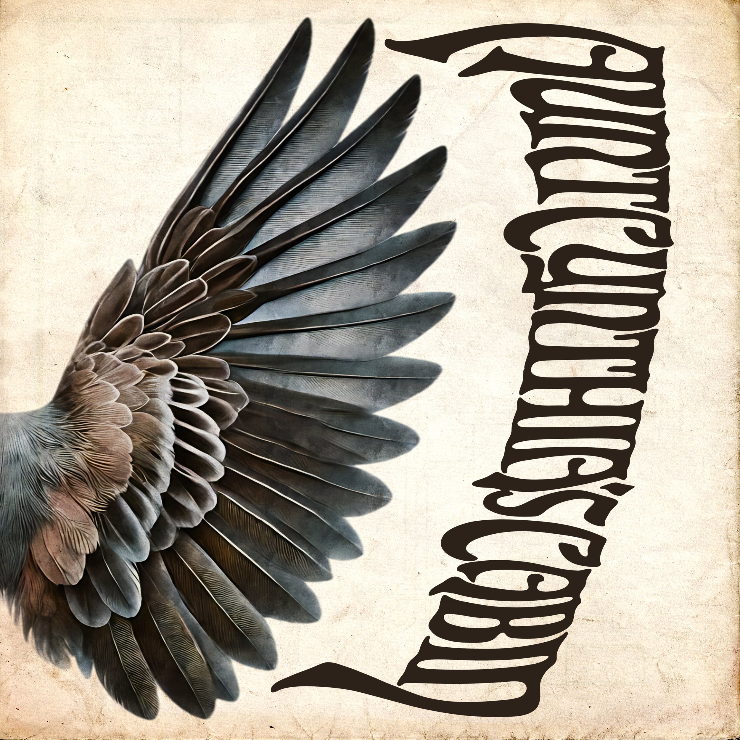 ACC Cover 04.jpg