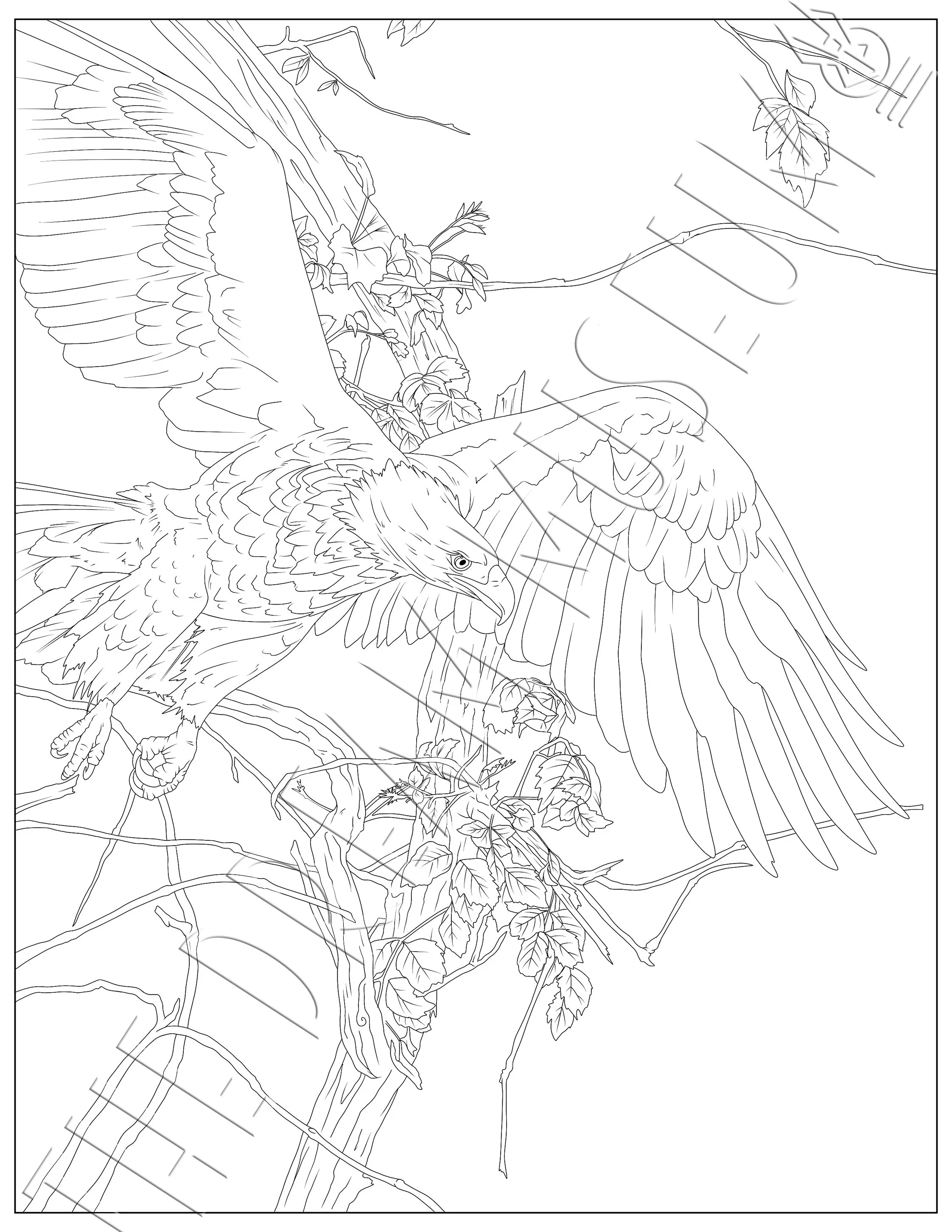 Eagle Test 001.jpg
