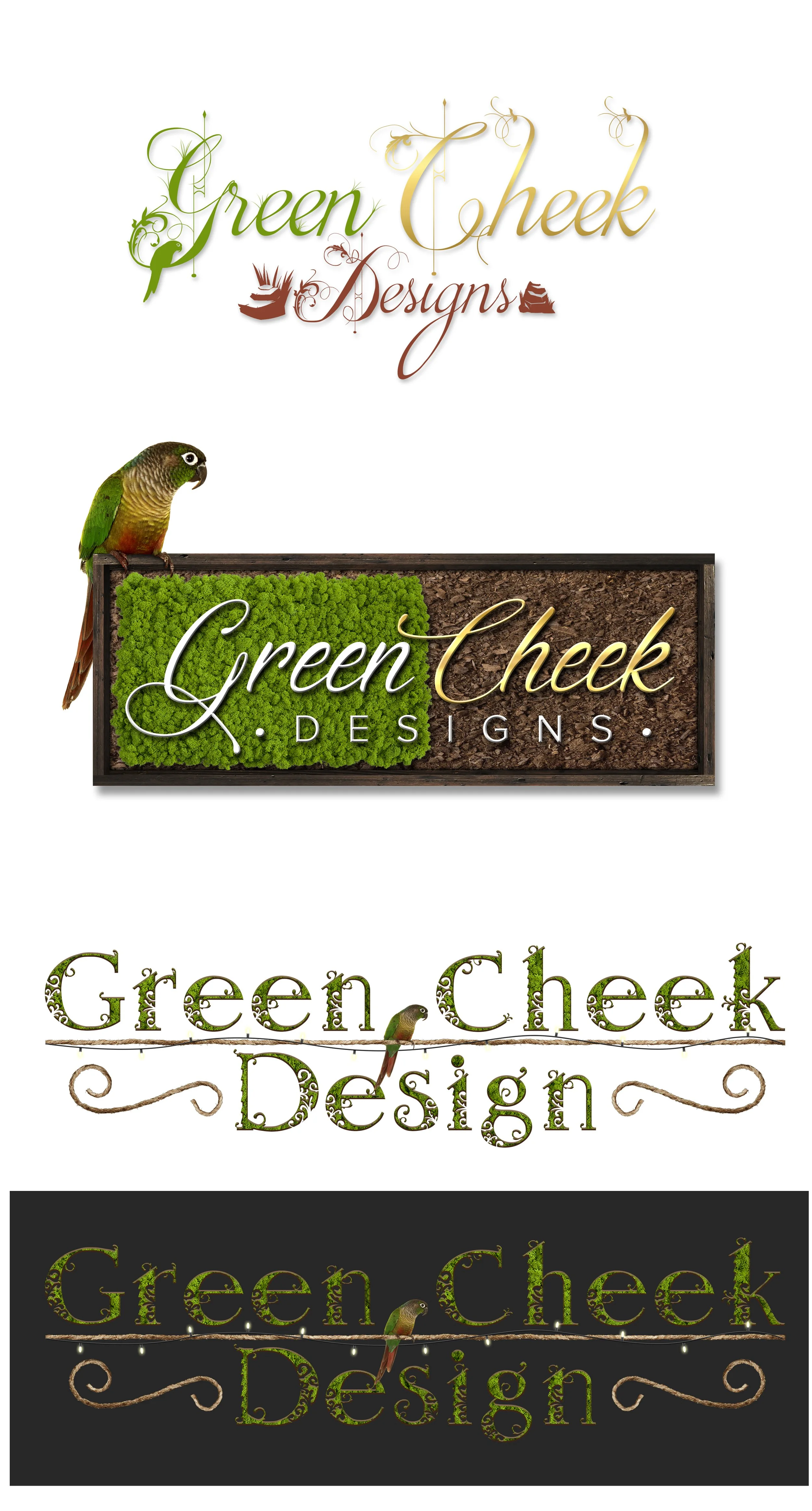 Logo Iterations 002.jpg