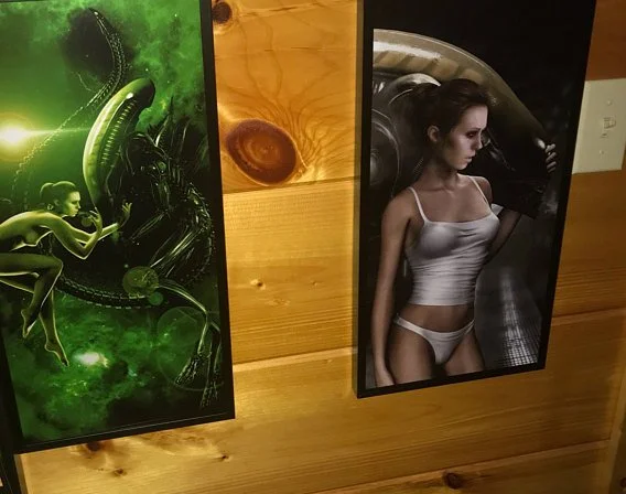 Two posters on a wooden wall: one of a futuristic woman with headphones in a green sci-fi setting, and the other of a woman in underwear against a metallic background.