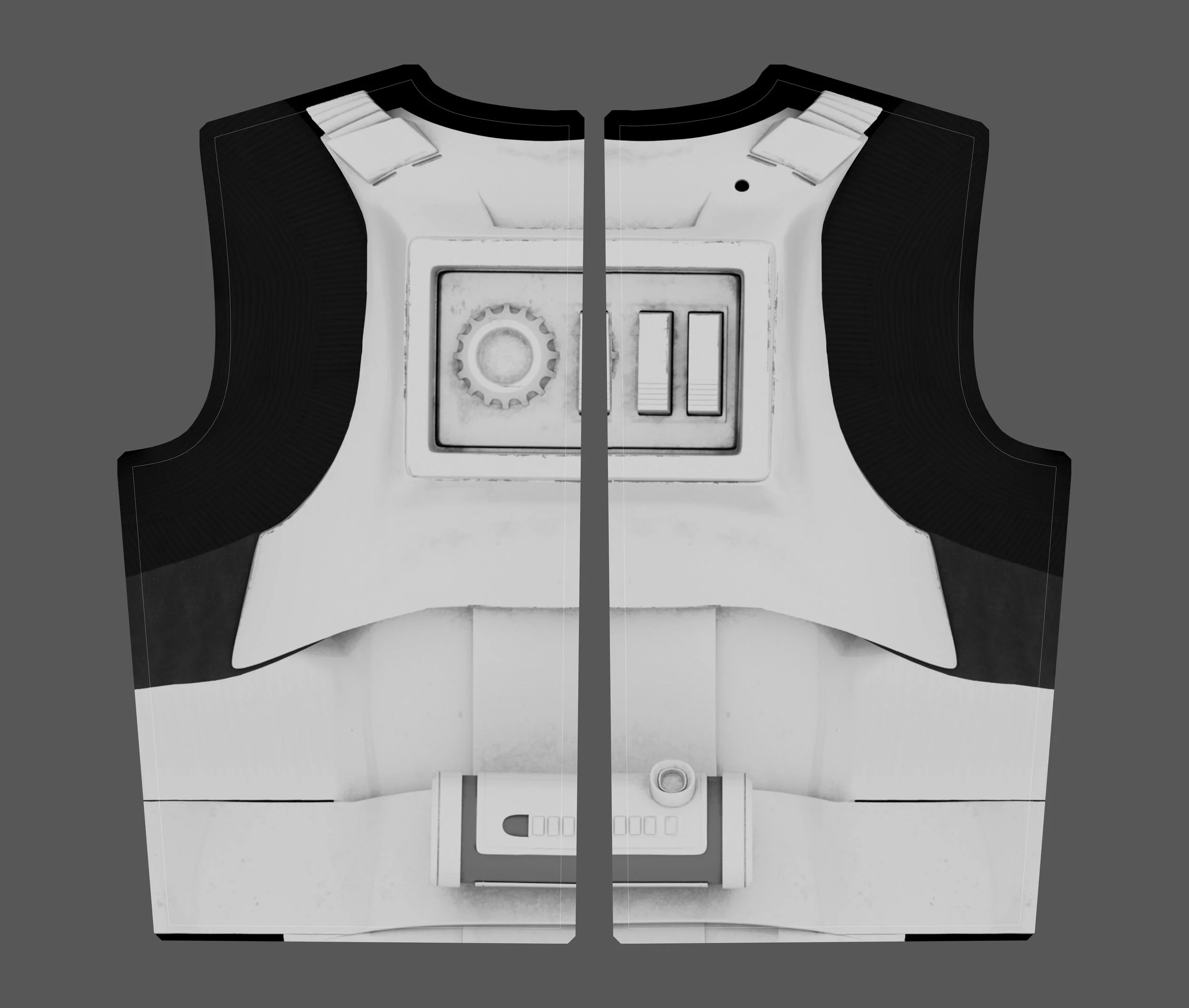 ST Back Sample.jpg