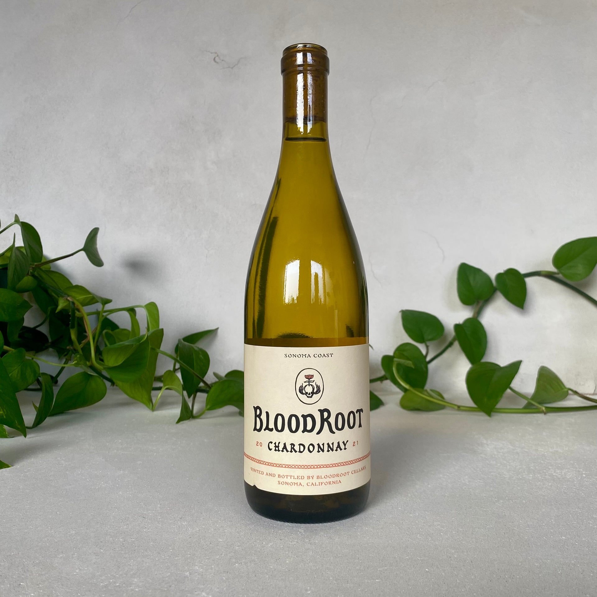 The @bloodrootwines Chardonnay from Sonoma Coast, California, is a vibrant and expressive Chardonnay crafted with precision to reflect the cool-climate character of the Sonoma Coast. BloodRoot, known for sourcing high-quality grapes from coastal vine