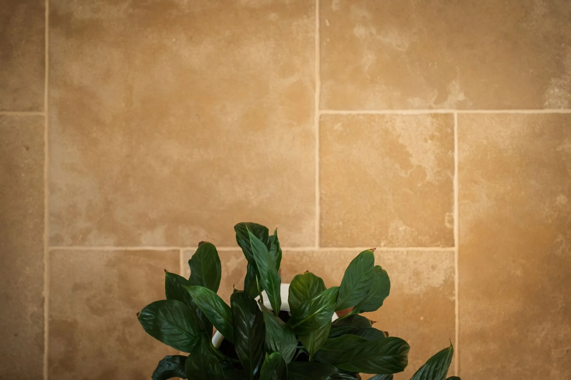 Limestone flooring detail used in the Raeburn interior.
