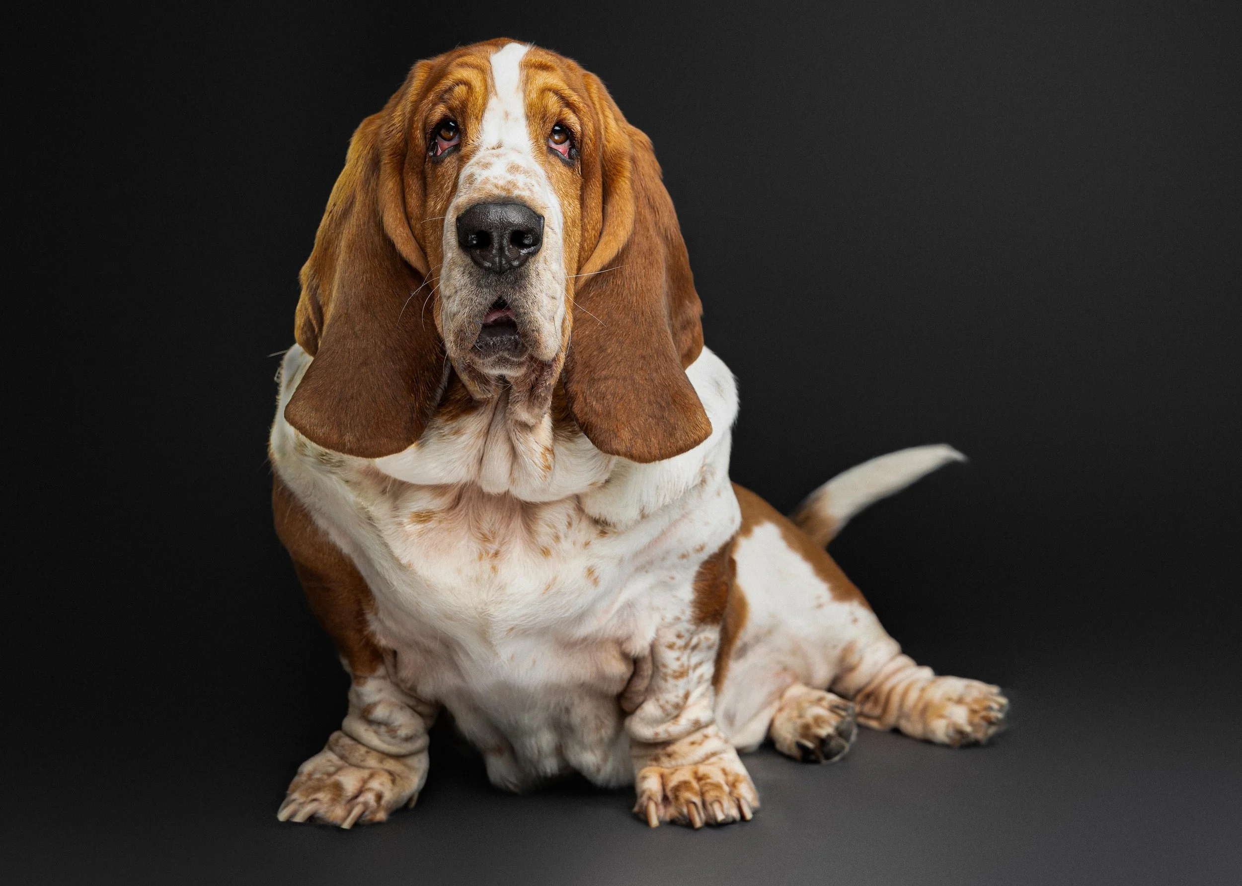 Colleen Tyler Biscottie Olive_Portraits_Jan 2026  (13).jpg