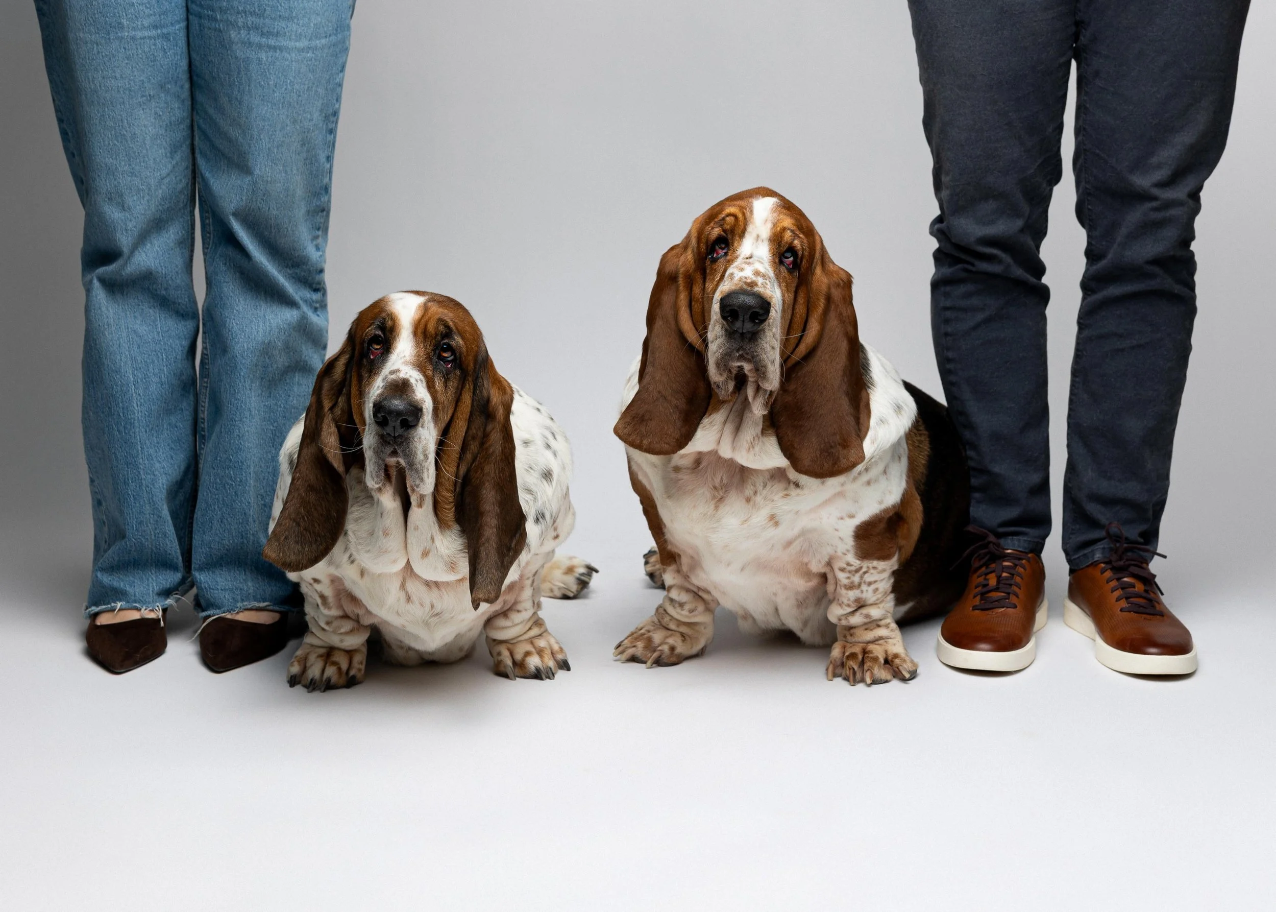 Colleen Tyler Biscottie Olive_Portraits_Jan 2026 (6).jpg