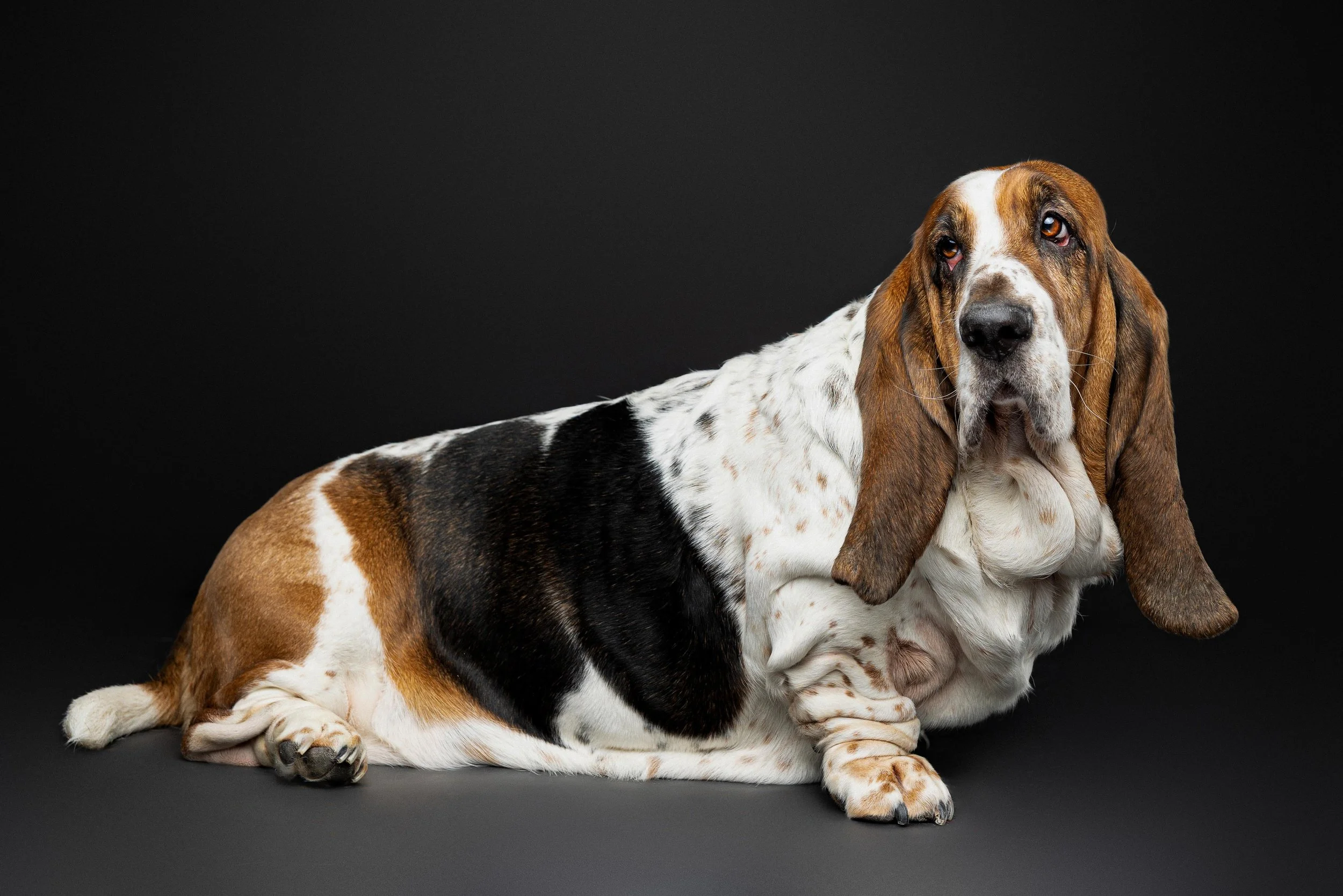 Colleen Tyler Biscottie Olive_Portraits_Jan 2026 (9).jpg