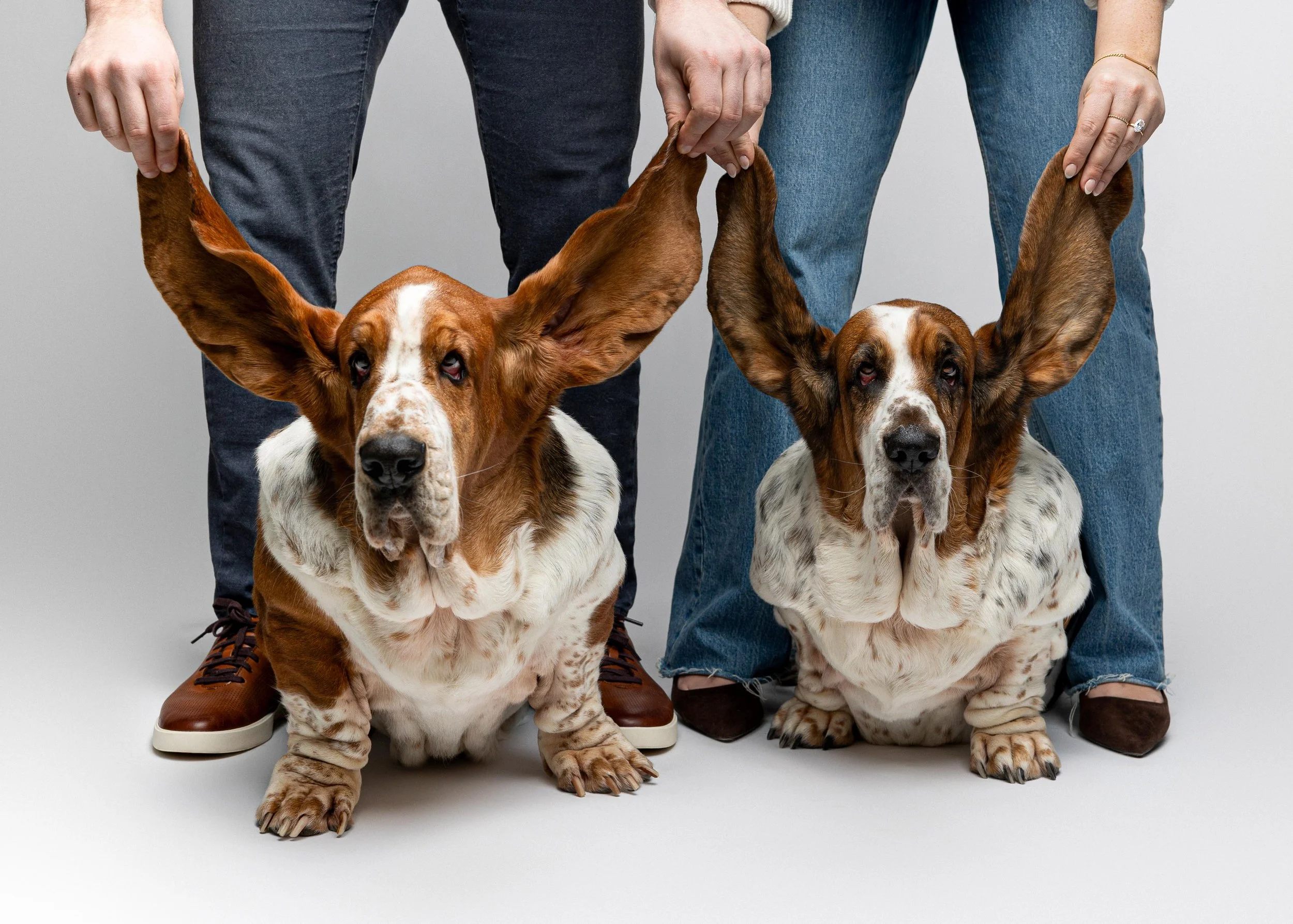 Colleen Tyler Biscottie Olive_Portraits_Jan 2026 (8).jpg