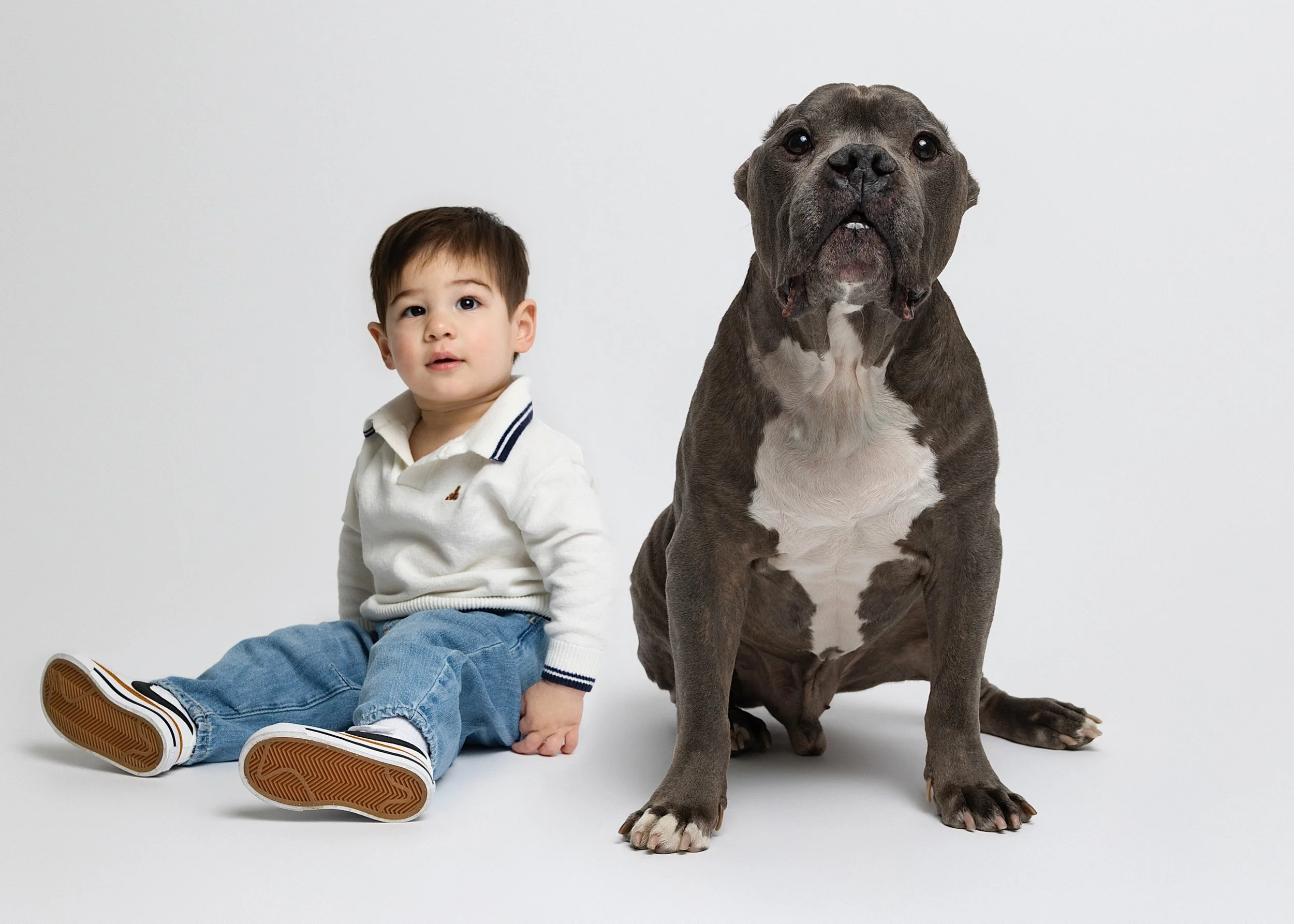 A young boy sitting on the floor next to a large, gray and white dog, both against a plain white background.