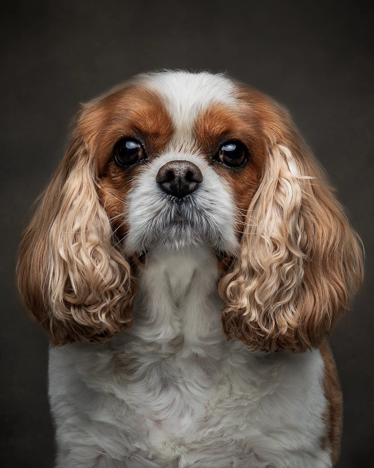 Ollie_Senior Portraits_Jun 2026 (4).jpg