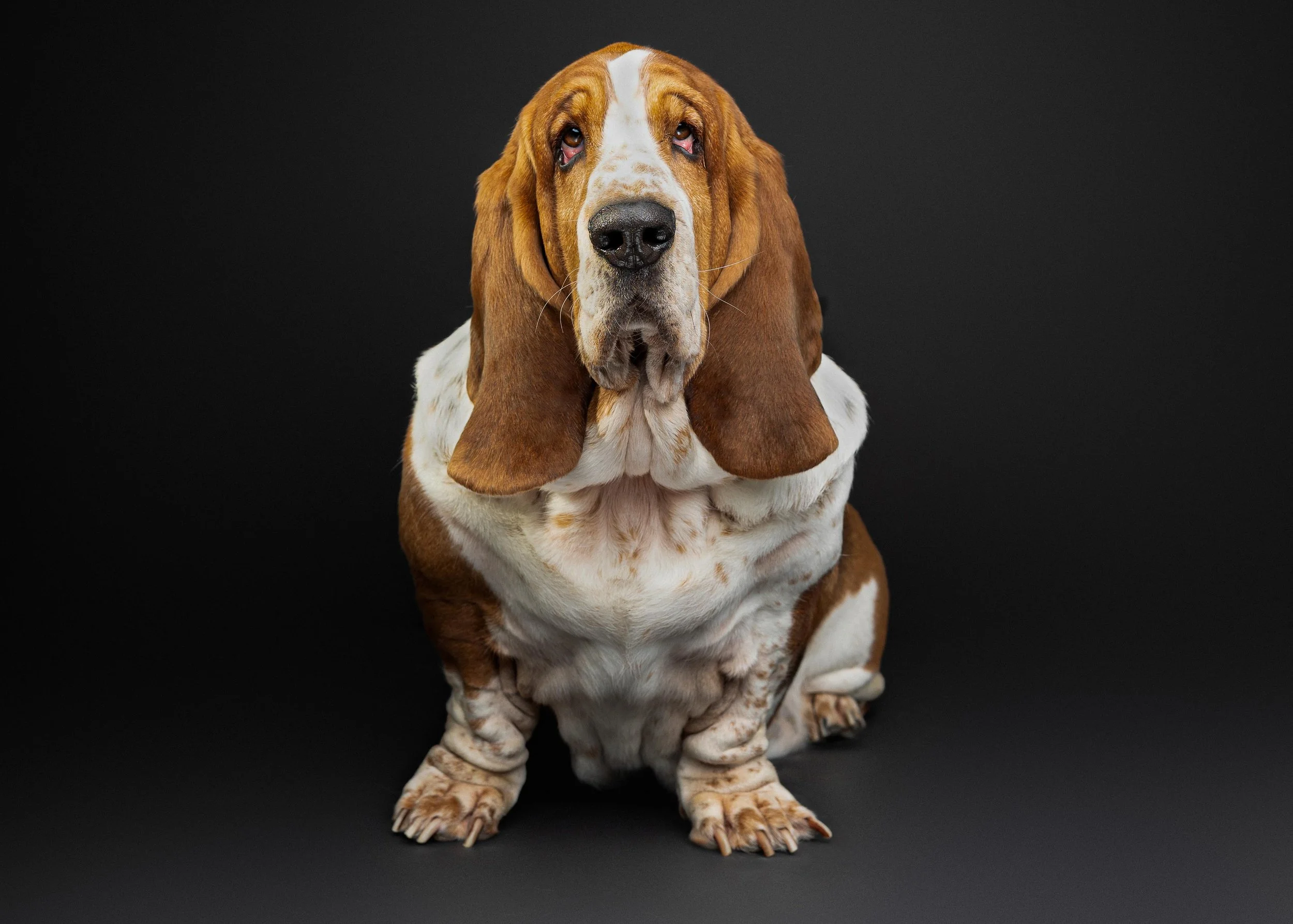 Colleen Tyler Biscottie Olive_Portraits_Jan 2026  (3).jpg