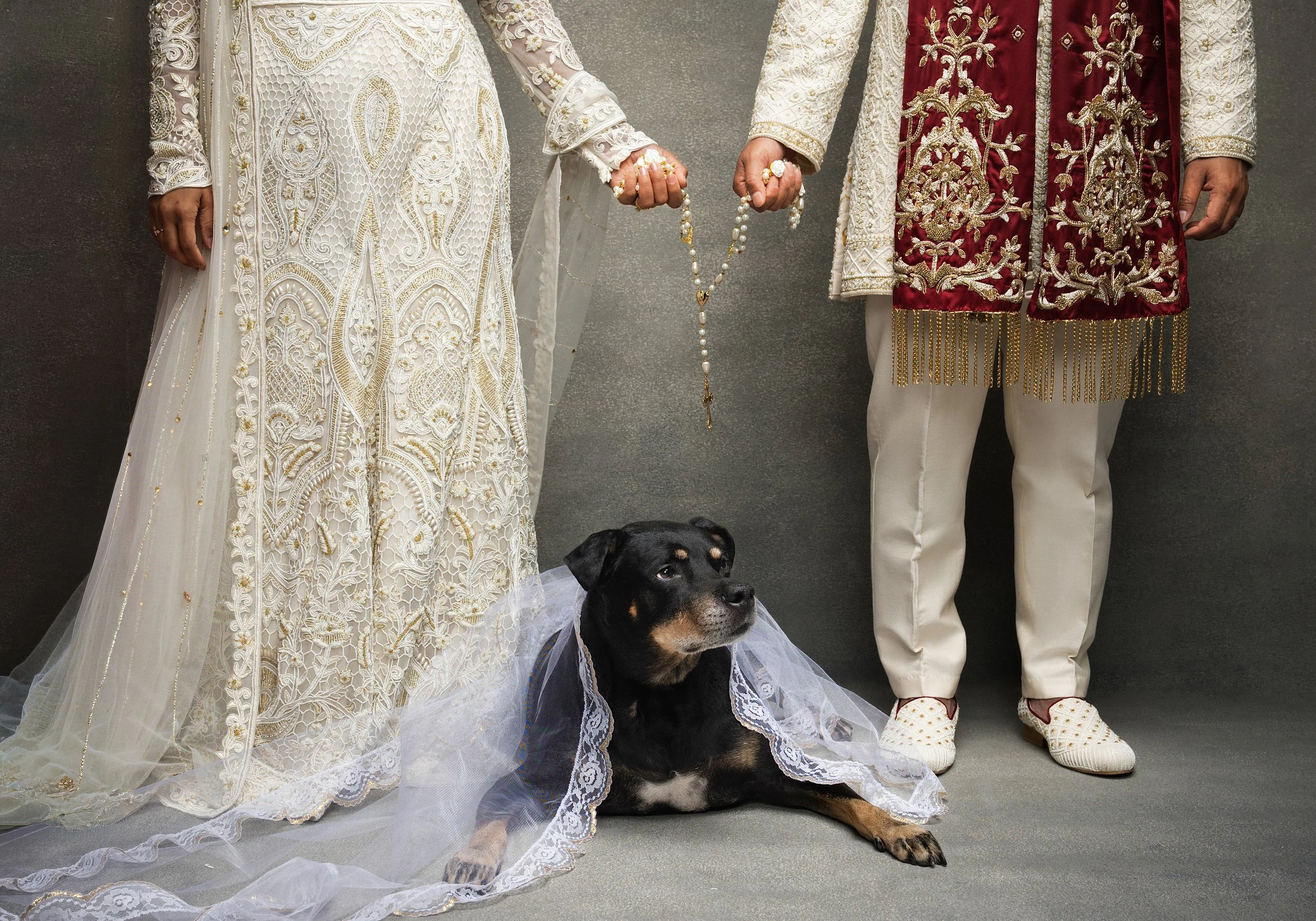 Close-up of a bride and groom holding hands, wearing traditional wedding attire with intricate embroidery. A Rottweiler dog in a white lace dress is lying on the floor in front, with a neutral gray background.