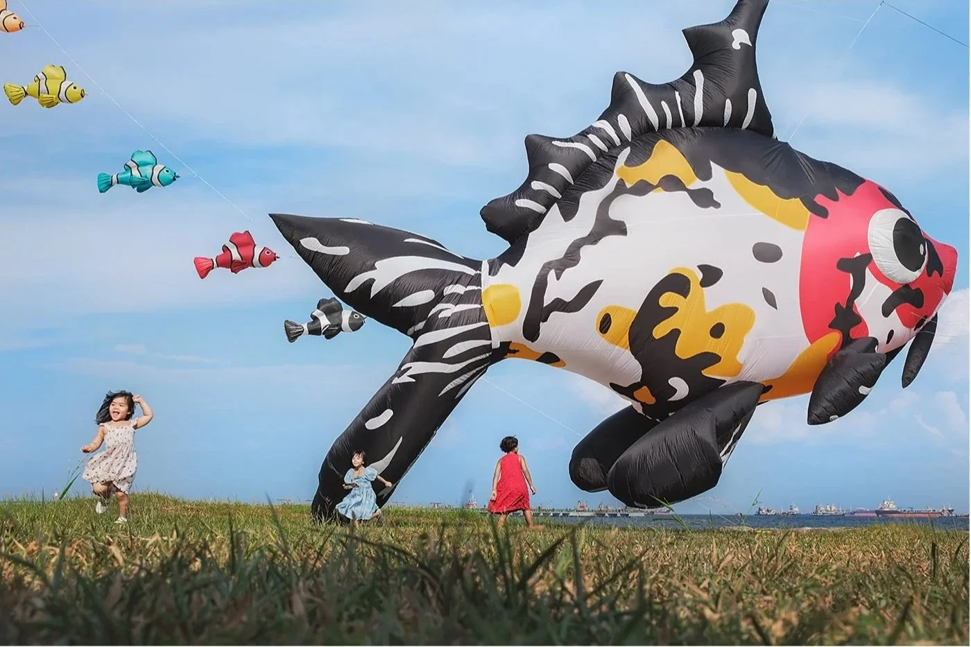 Playing with Fish (2025)
2026 - 5th Place, 7th Annual FujiFanBoys Best of Show
2026 - Women Street Photographers Annual Group Exhibition - New York, USA