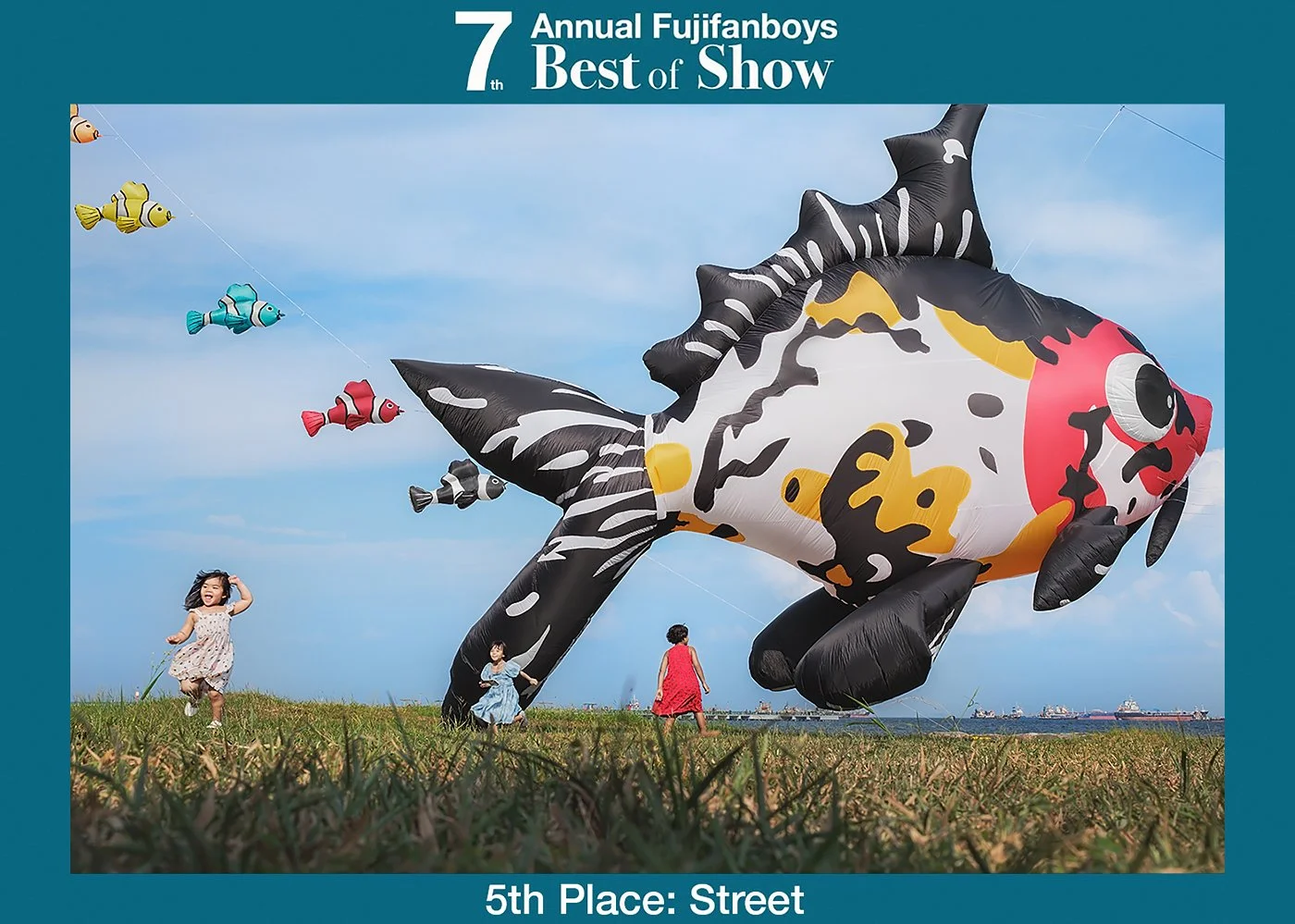 Kantaya New Receives 2nd and 5th Place in the 7th Annual FujiFanBoys Best of Show