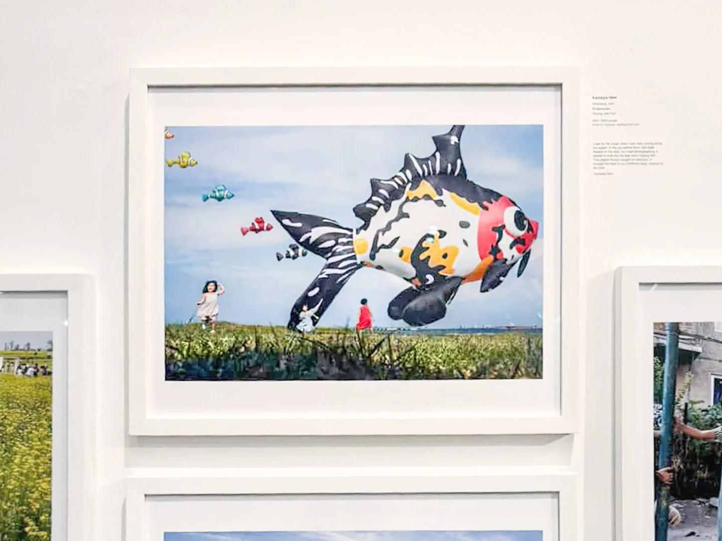 WSP-exhibition-view2.jpg