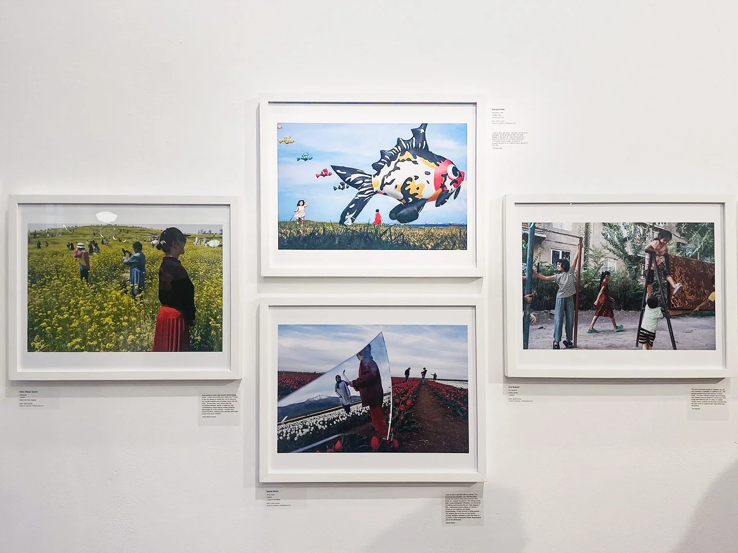 WSP-exhibition-view.jpg