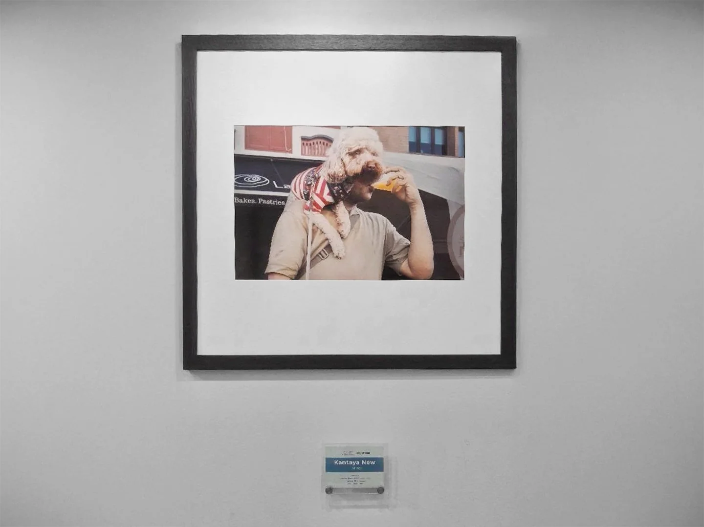 Doss-exhibition-view1.jpg