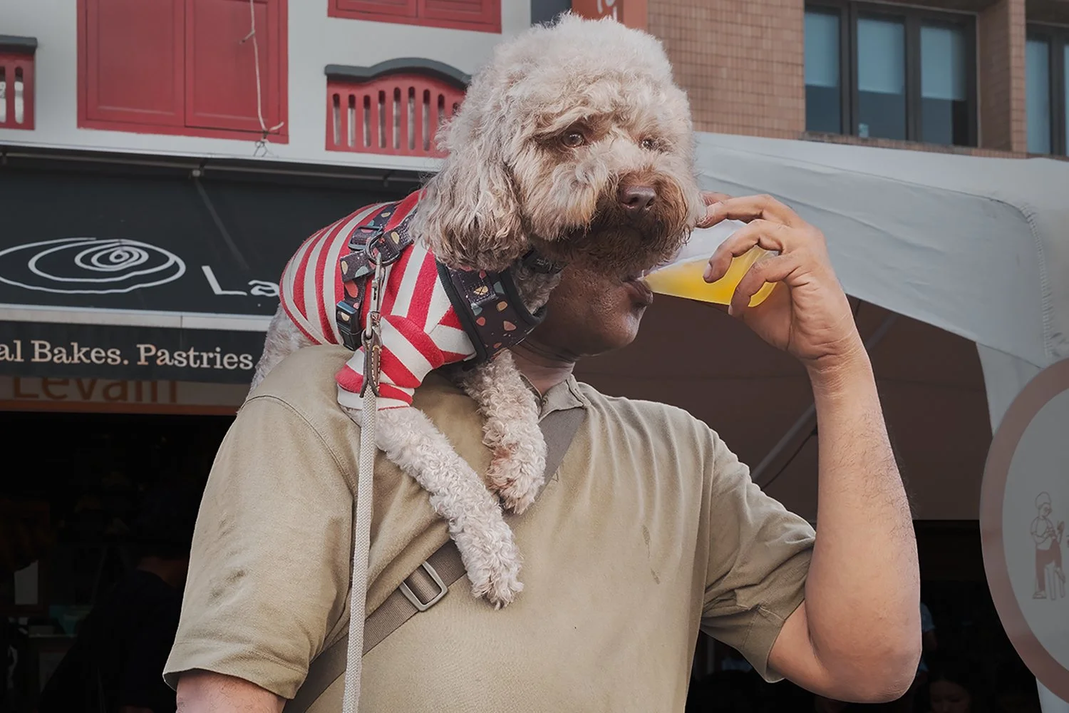 Cheers (2025)
2026 - 2nd Place, 7th Annual FujiFanBoys Best of Show
2026 - Finalist, Leica Street Photo Competition