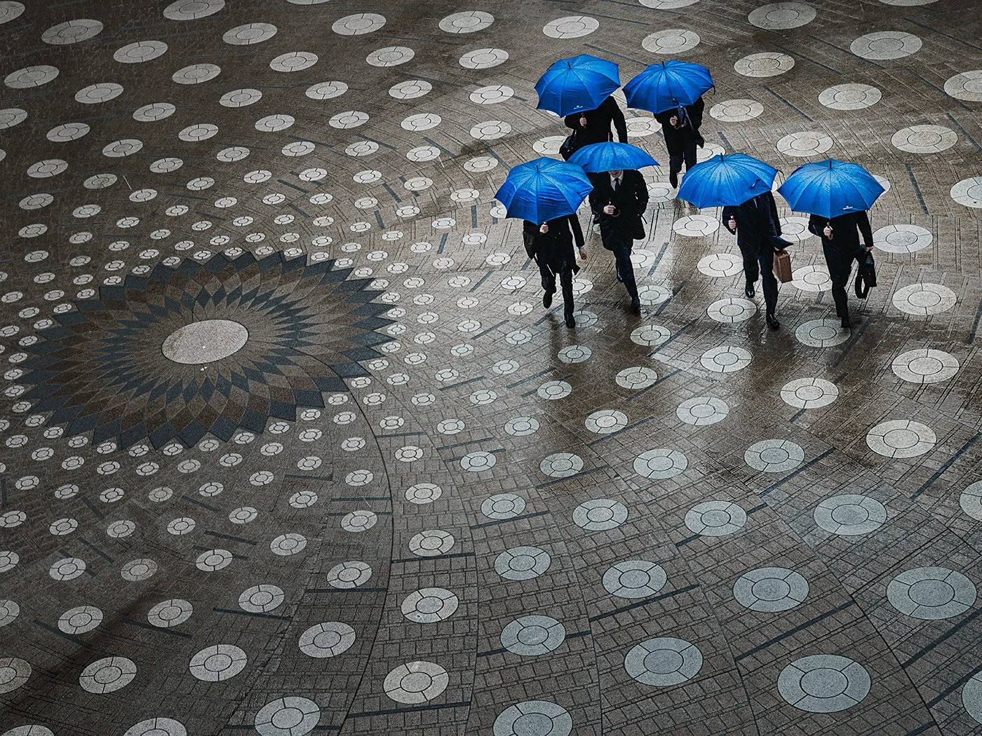 Overhead view of five people in dark suits walking across a circular patterned floor, each holding a bright blue umbrella.