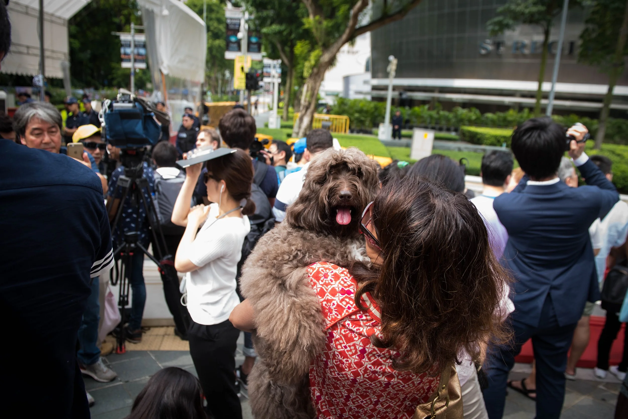 A doggo was spotted amongst the crowds awaiting North Korean supreme leader Kim Jong-un's arrival at St. Regis hotel on 10 June, 2018.