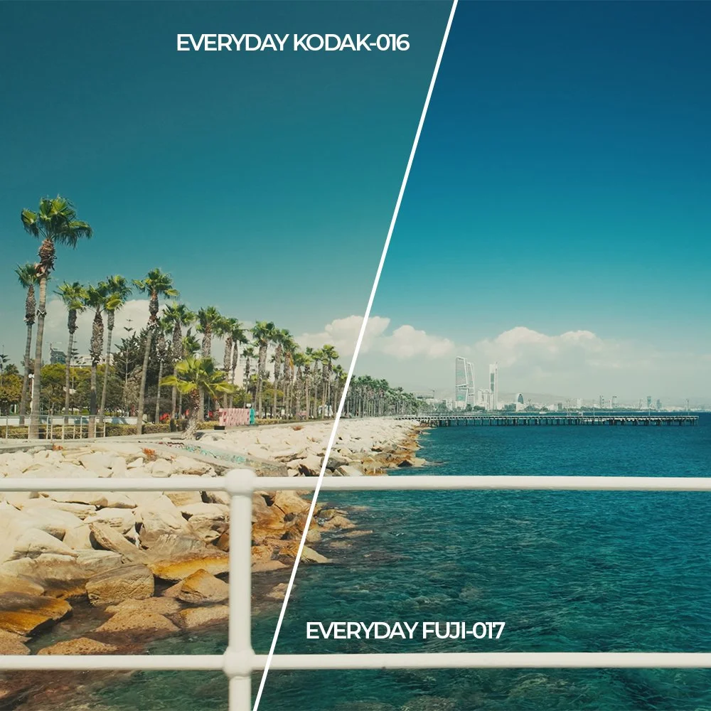 EDKodak-Vs-EDFuji_2.jpg
