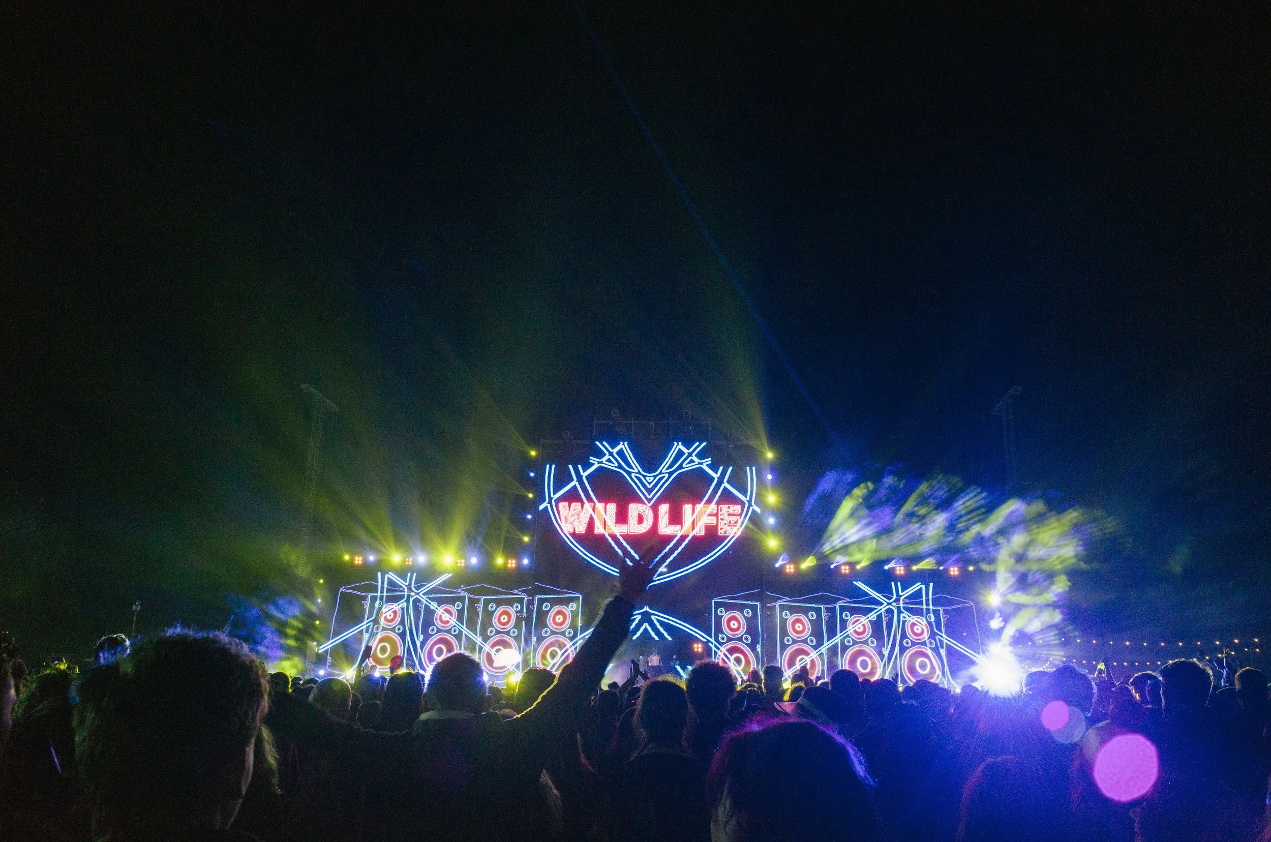 wildlife cam 2-193.jpeg