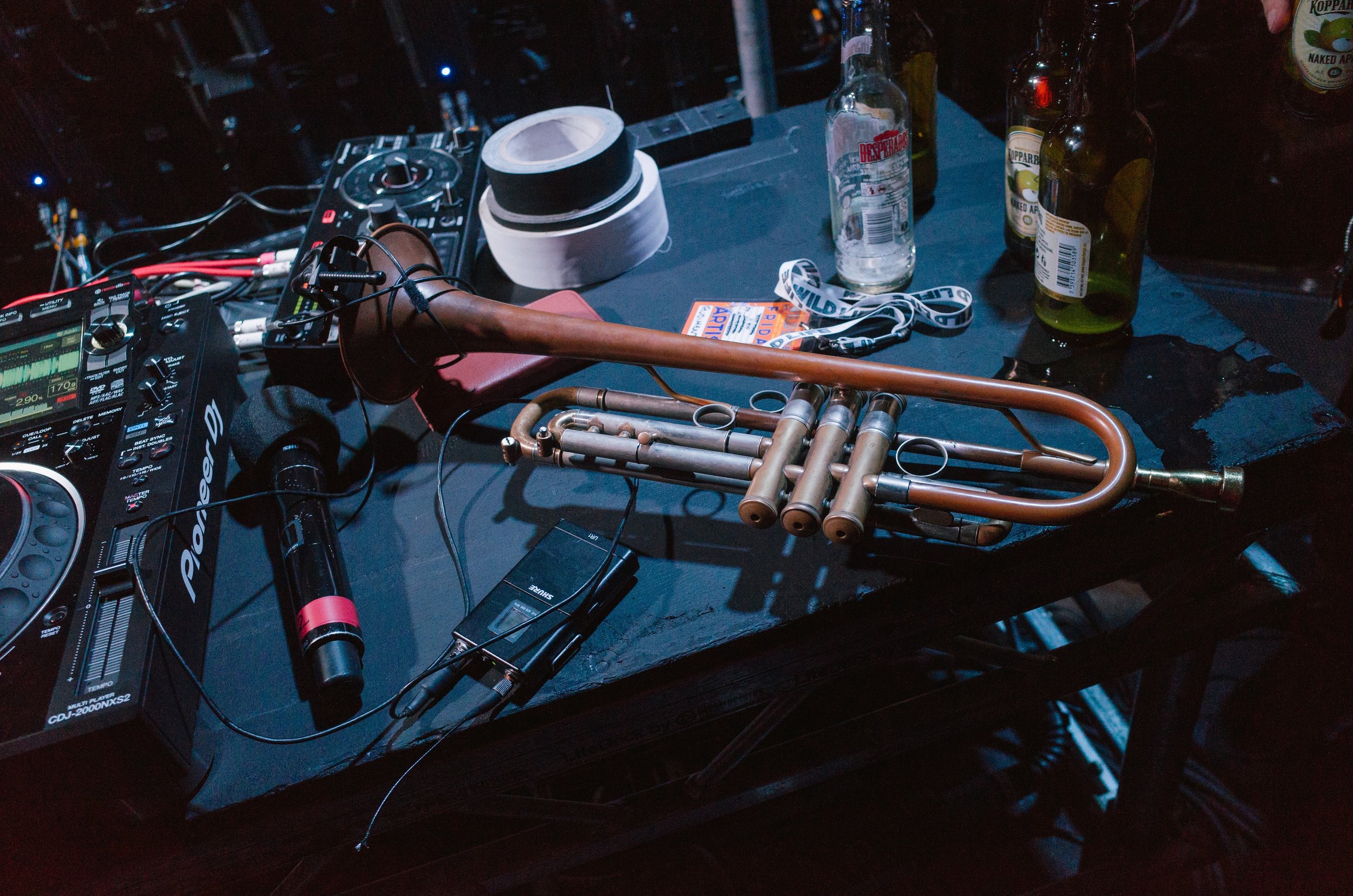 wildlife cam 2-150.jpeg