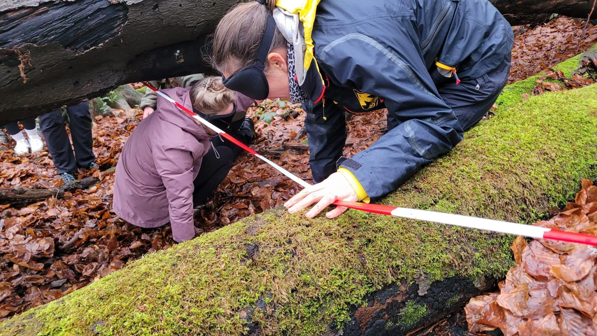Zintuigen en leiderschap ZWAANZ Nascholingen