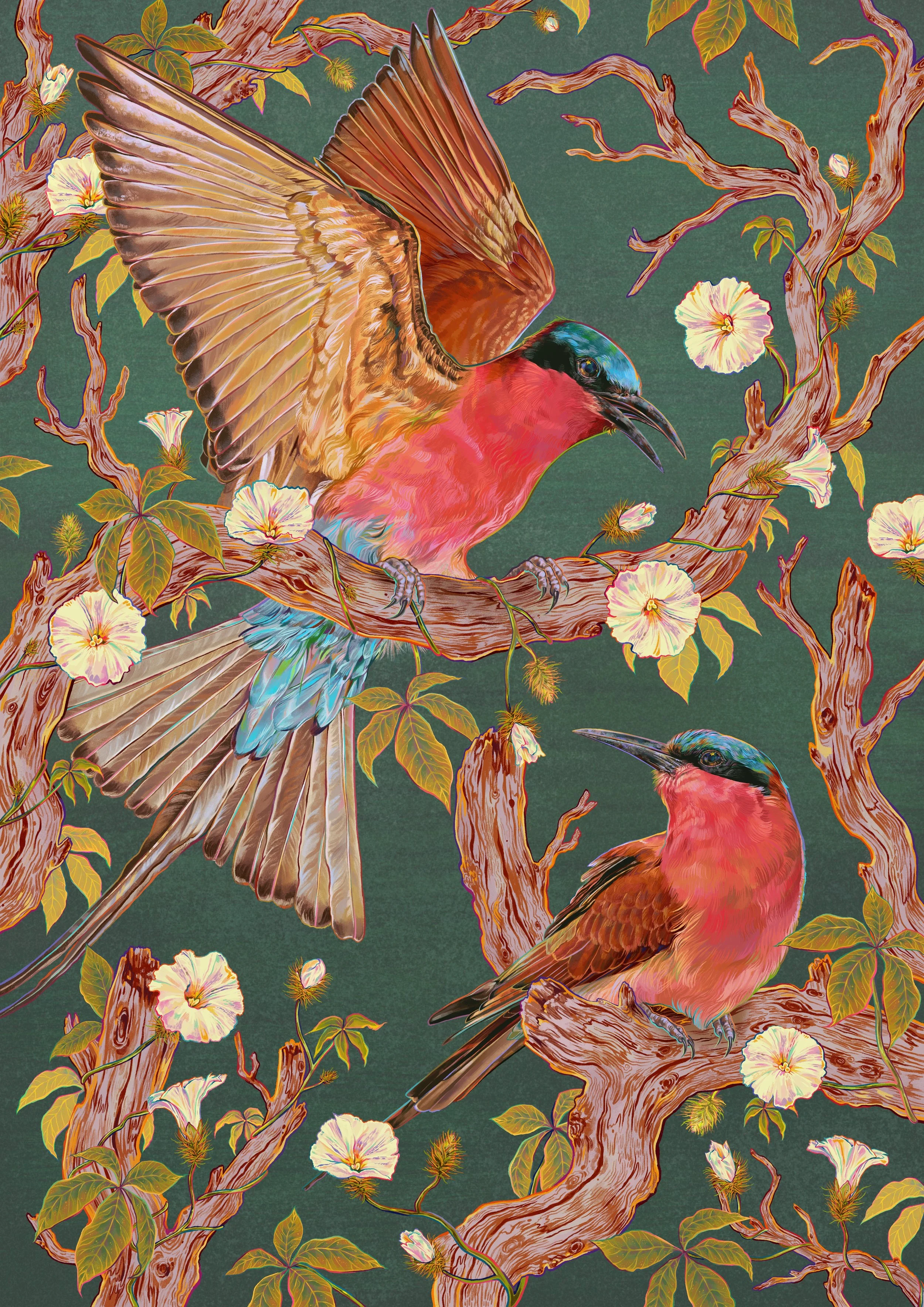 The Southern Carmine Bee-eaters