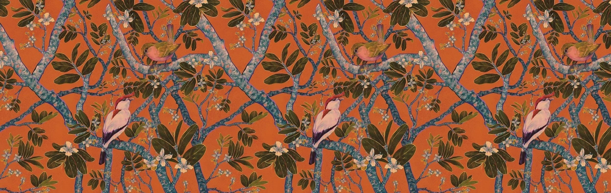 Araripe Manakins pattern