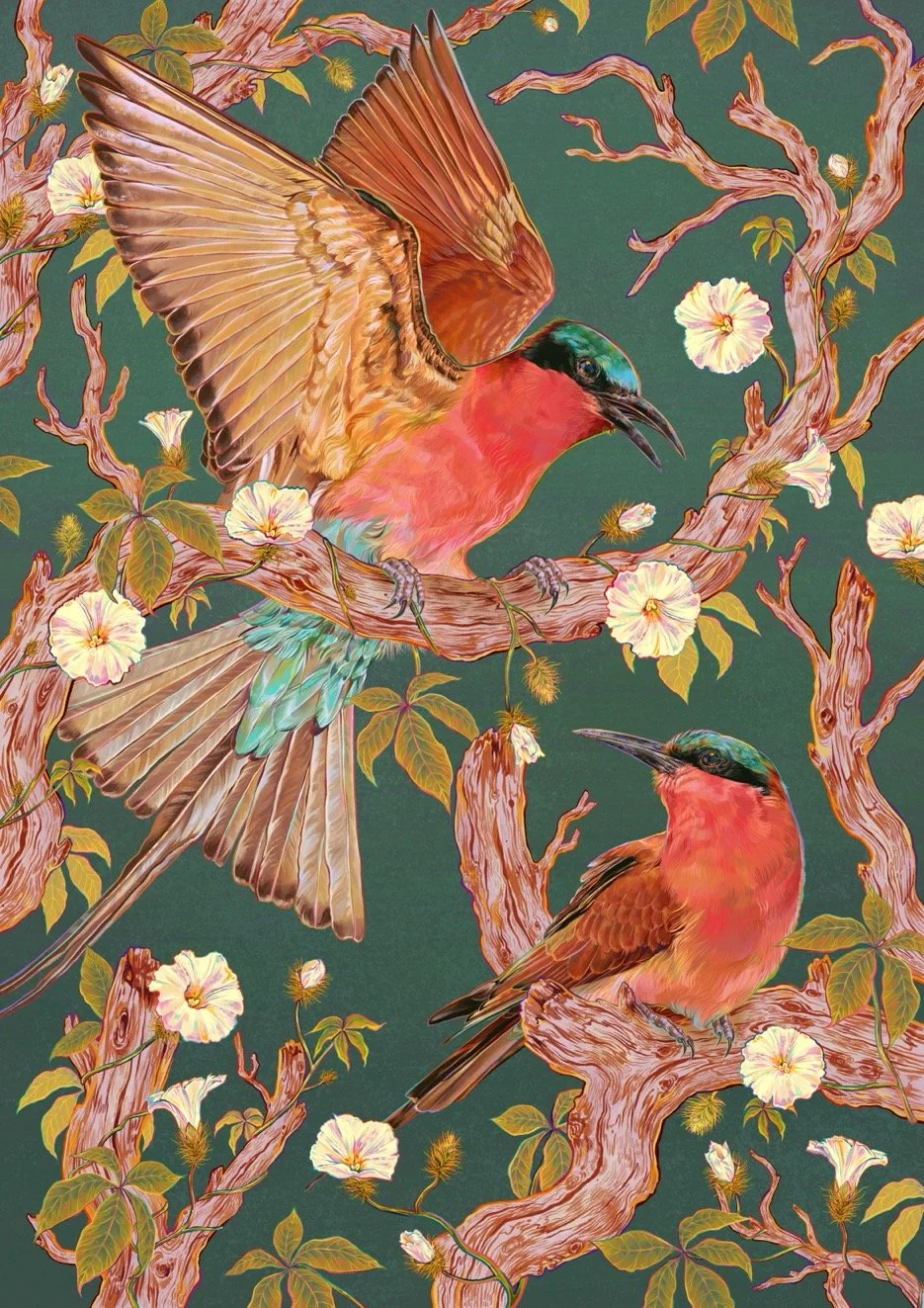 The Southern Carmine Bee-eaters