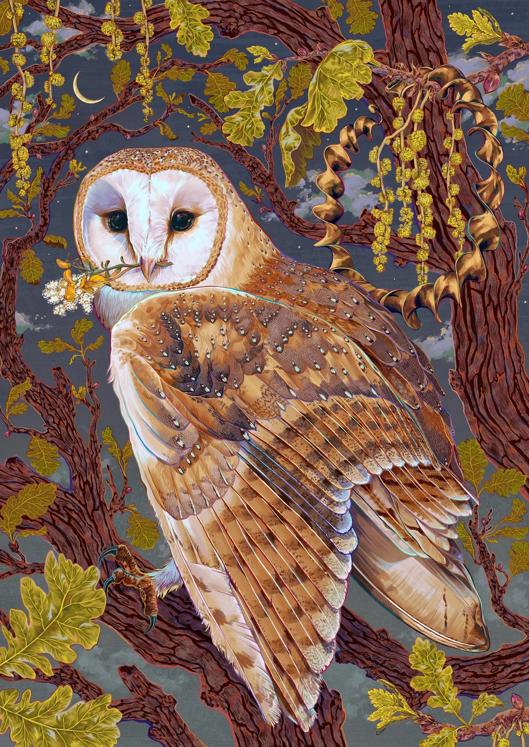 Blodeuwedd The Barn Owl