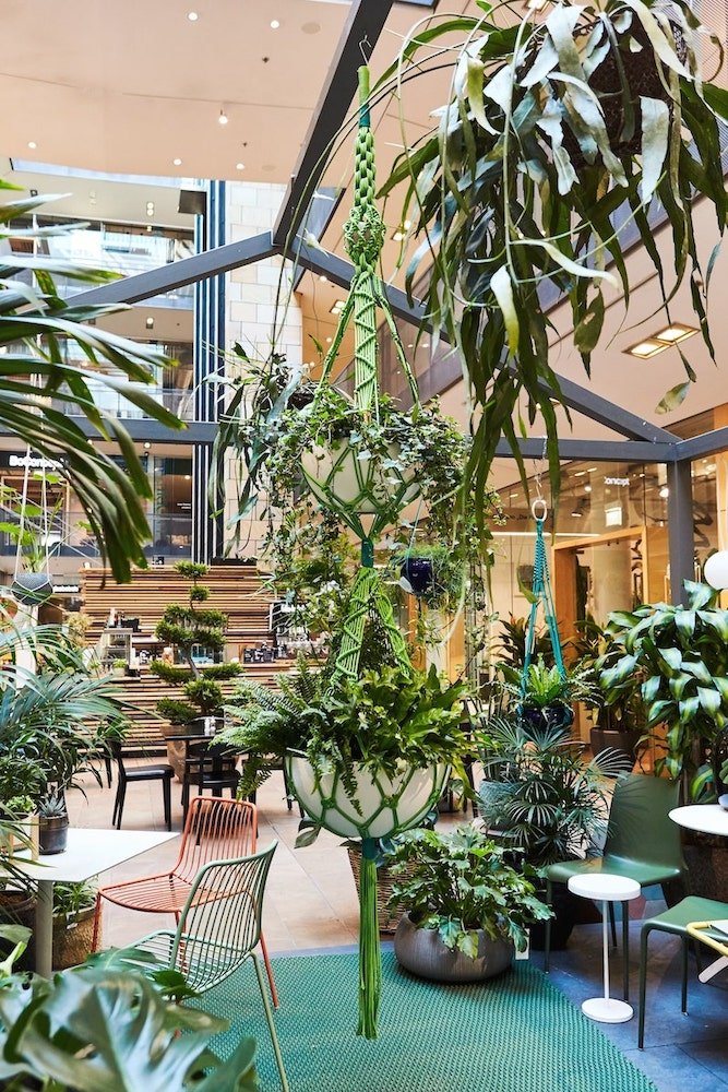 Macramé + Plant Installation x Die Palme, Stilwerk Berlin