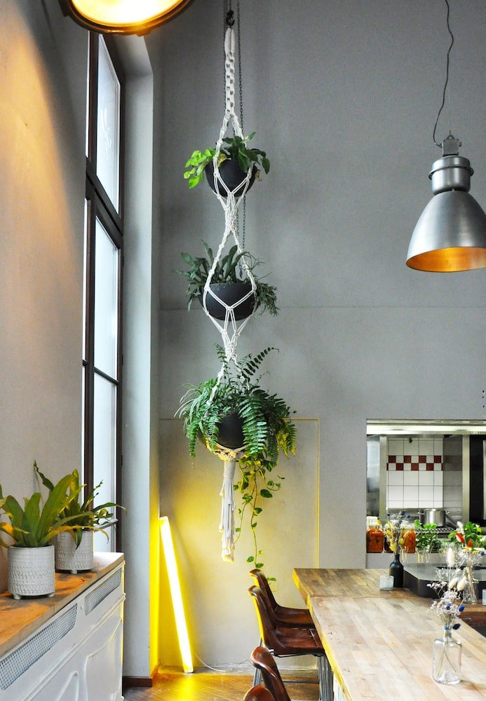 XXL Macramé + Plant Installation, Kink Bar + Restaurant, Berlin