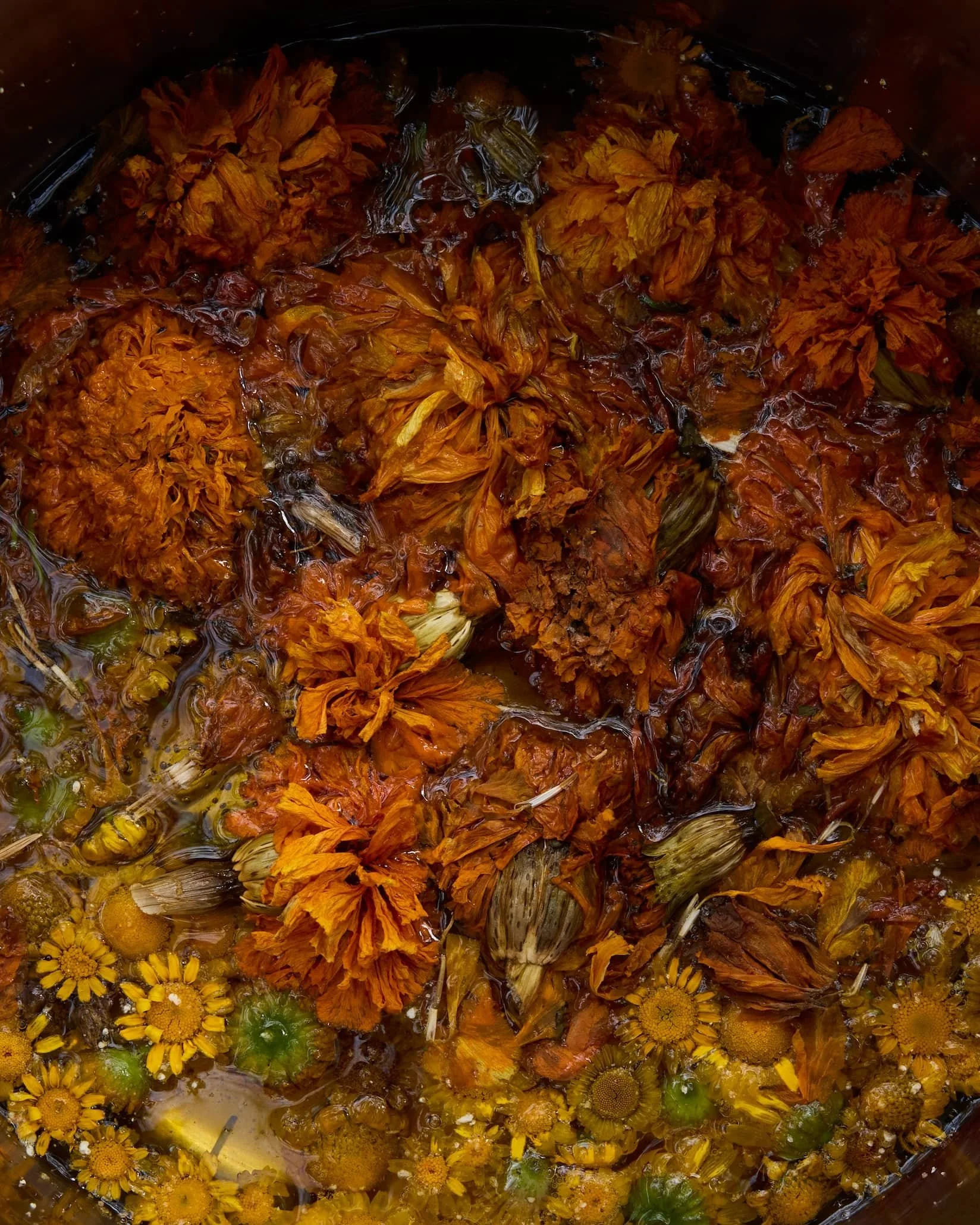 Färben mit Pflanzenfarben: Immersives Retreat am Bauernsee | 11. - 13. Sep 2026 | Brandenburg (2 Übernachtungen)