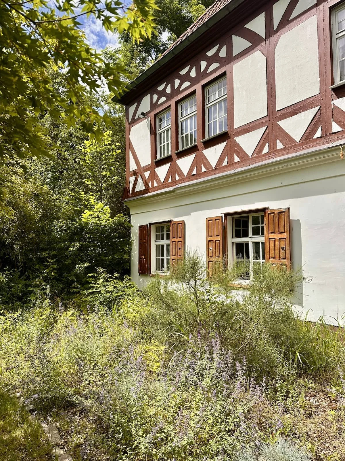 bauernschloss_retreat_pflanzlichfaerben_2026.jpg