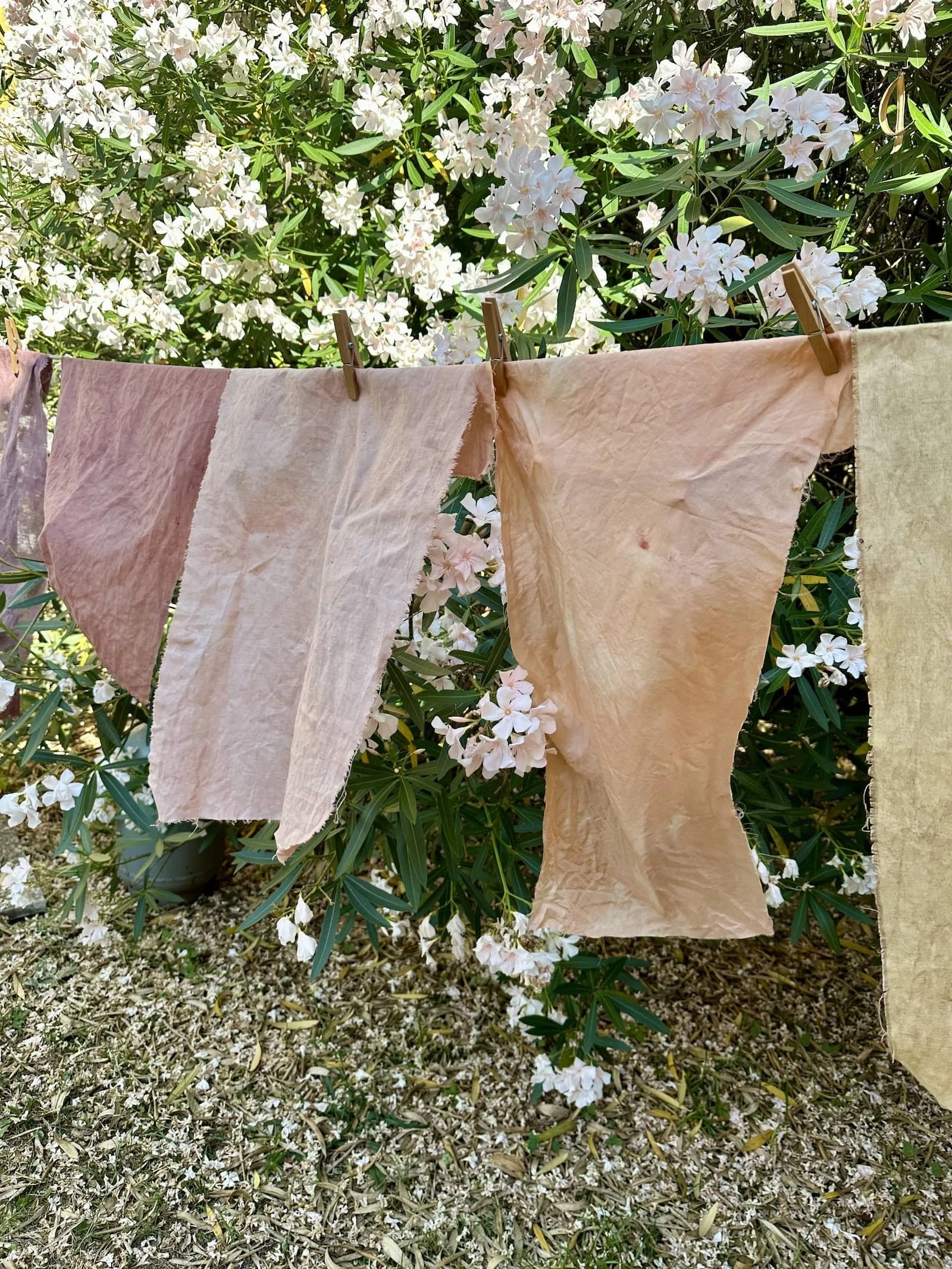 DorteBundt_FAF_NaturalDyes.JPG (Copy)