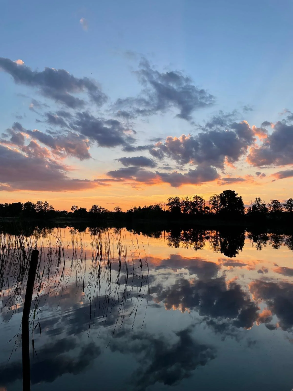 Bauernschloss_Retreat_4.jpeg (Copy)